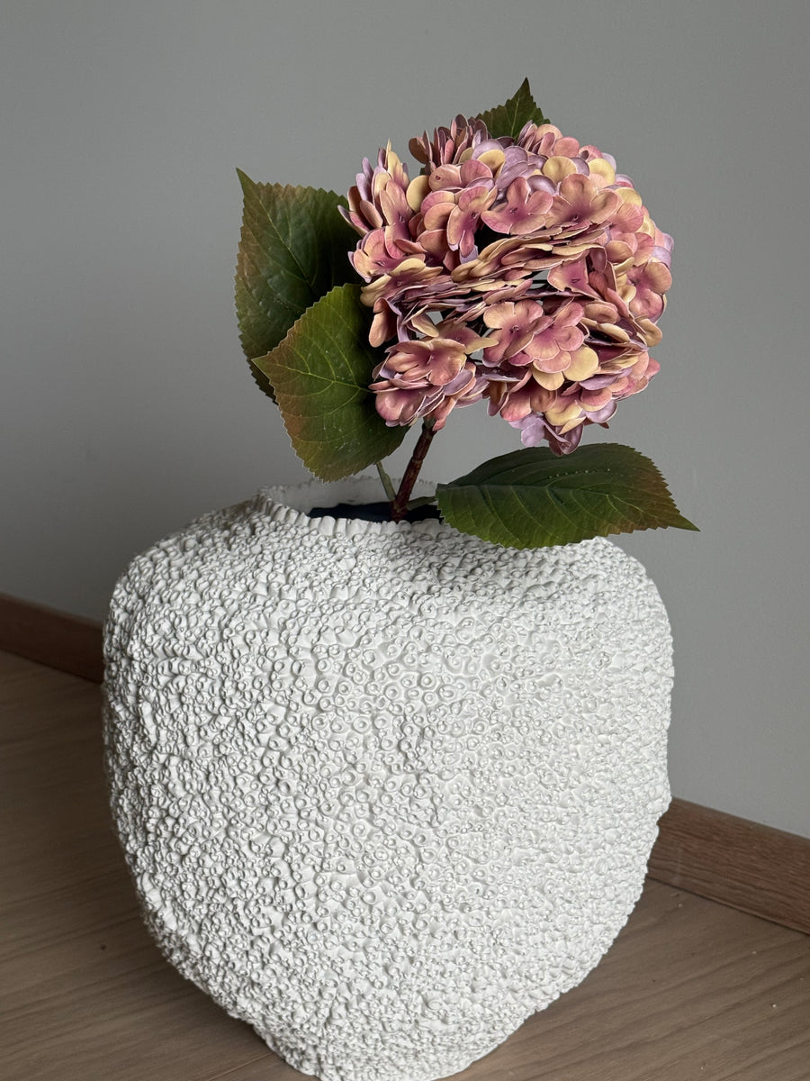 Hortensia gammelrosa
