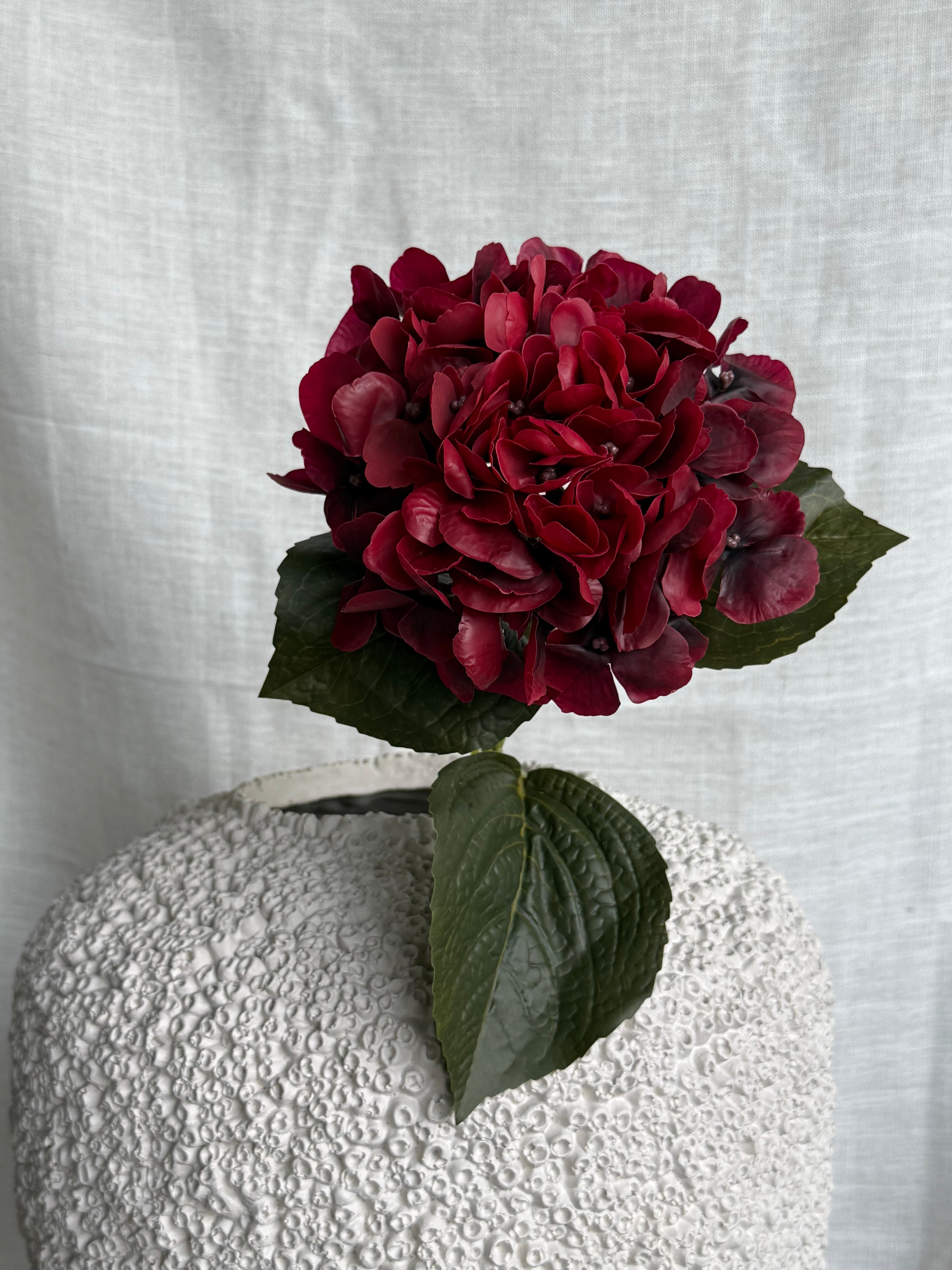 Hortensia rød