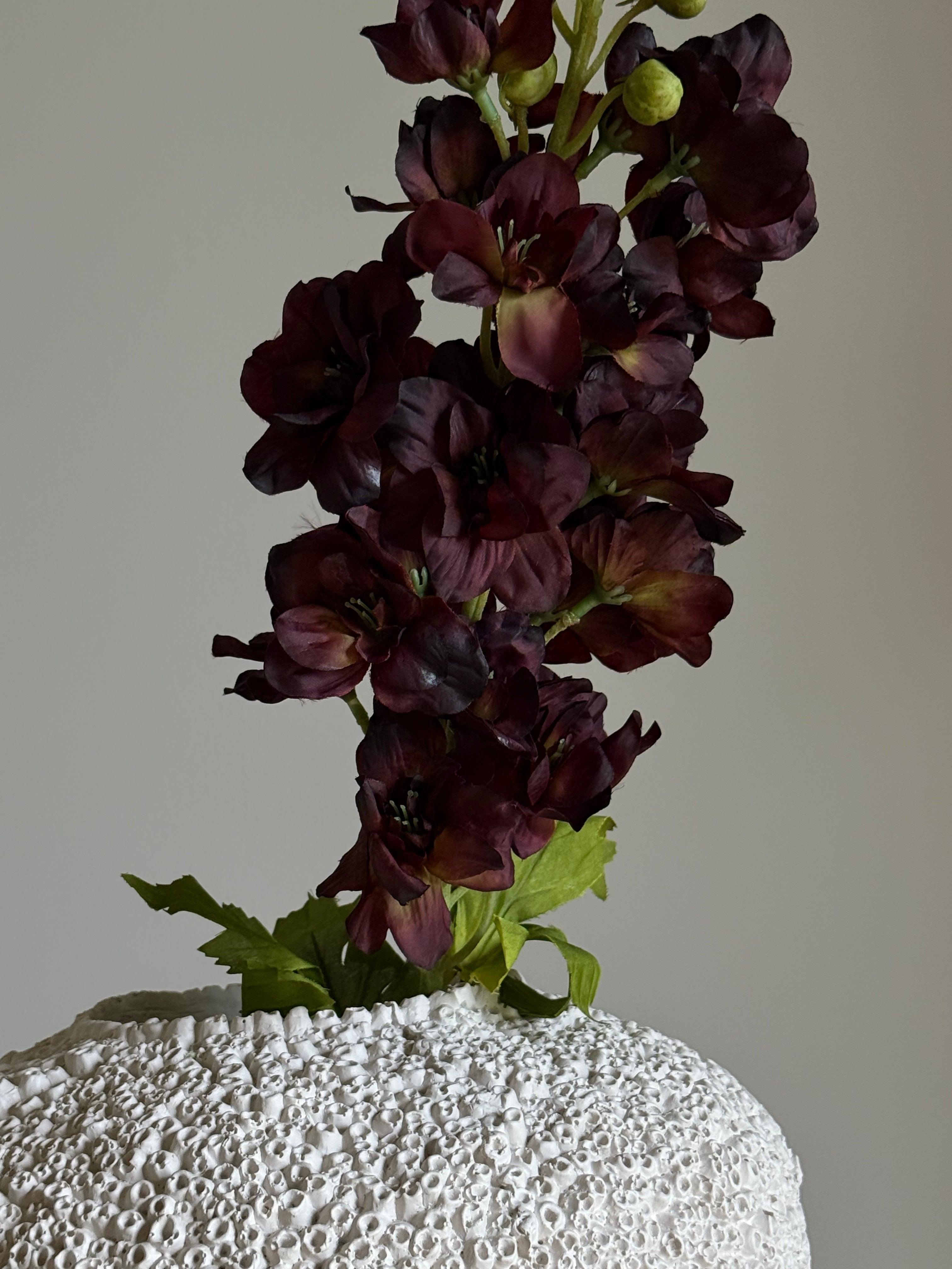 Delfinium purple
