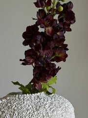 Delfinium purple