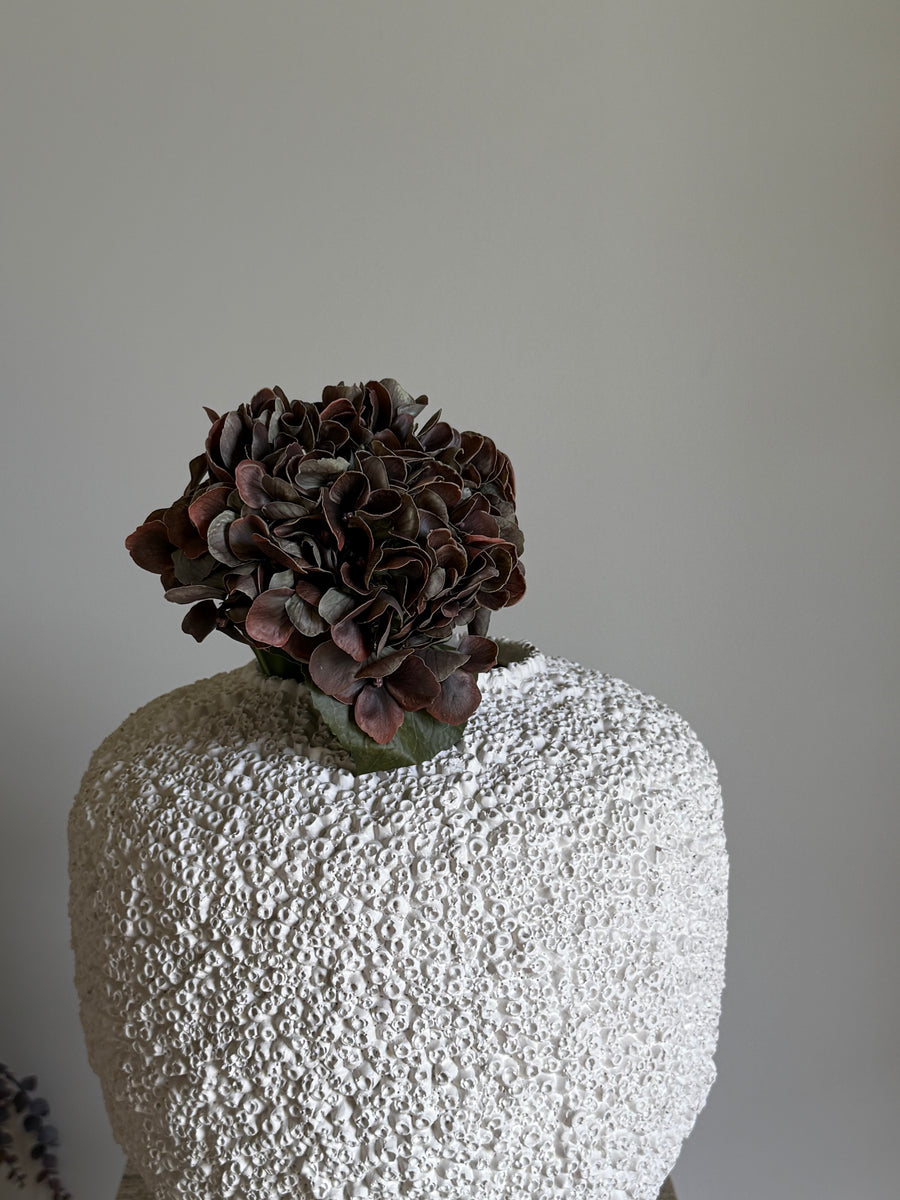 Hortensia høst