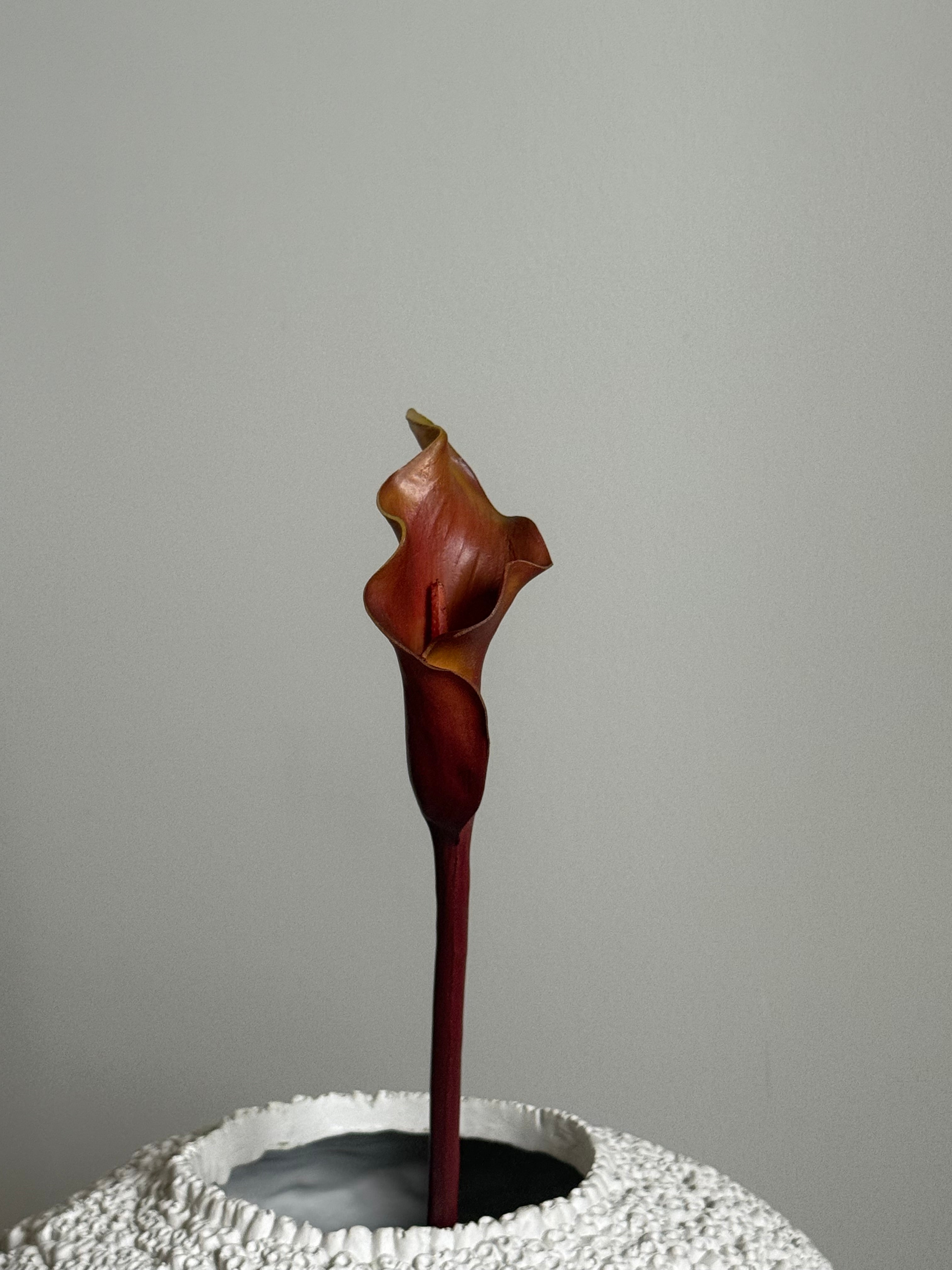 Kala brun/orange