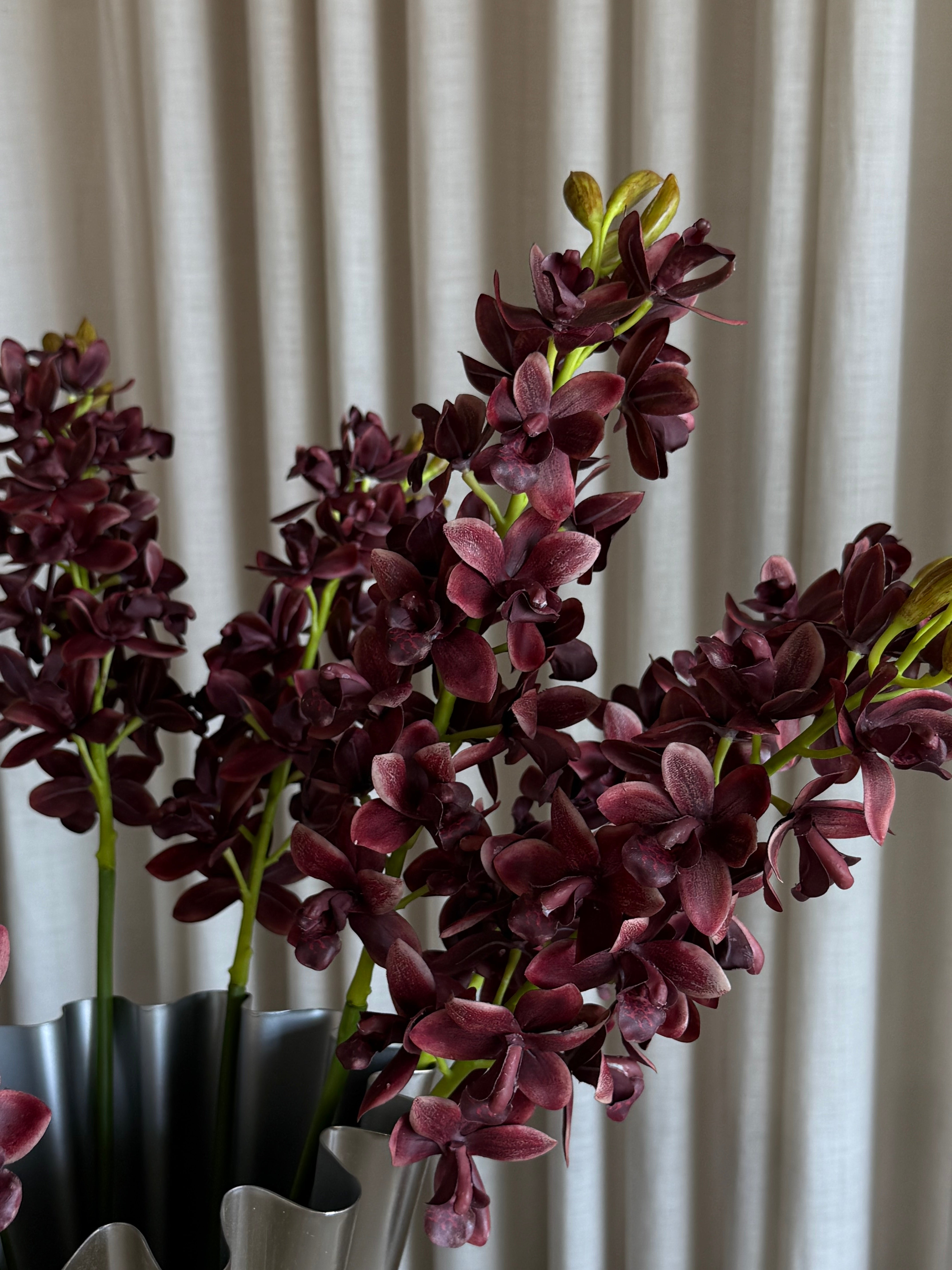 Dendrobium-orkidé