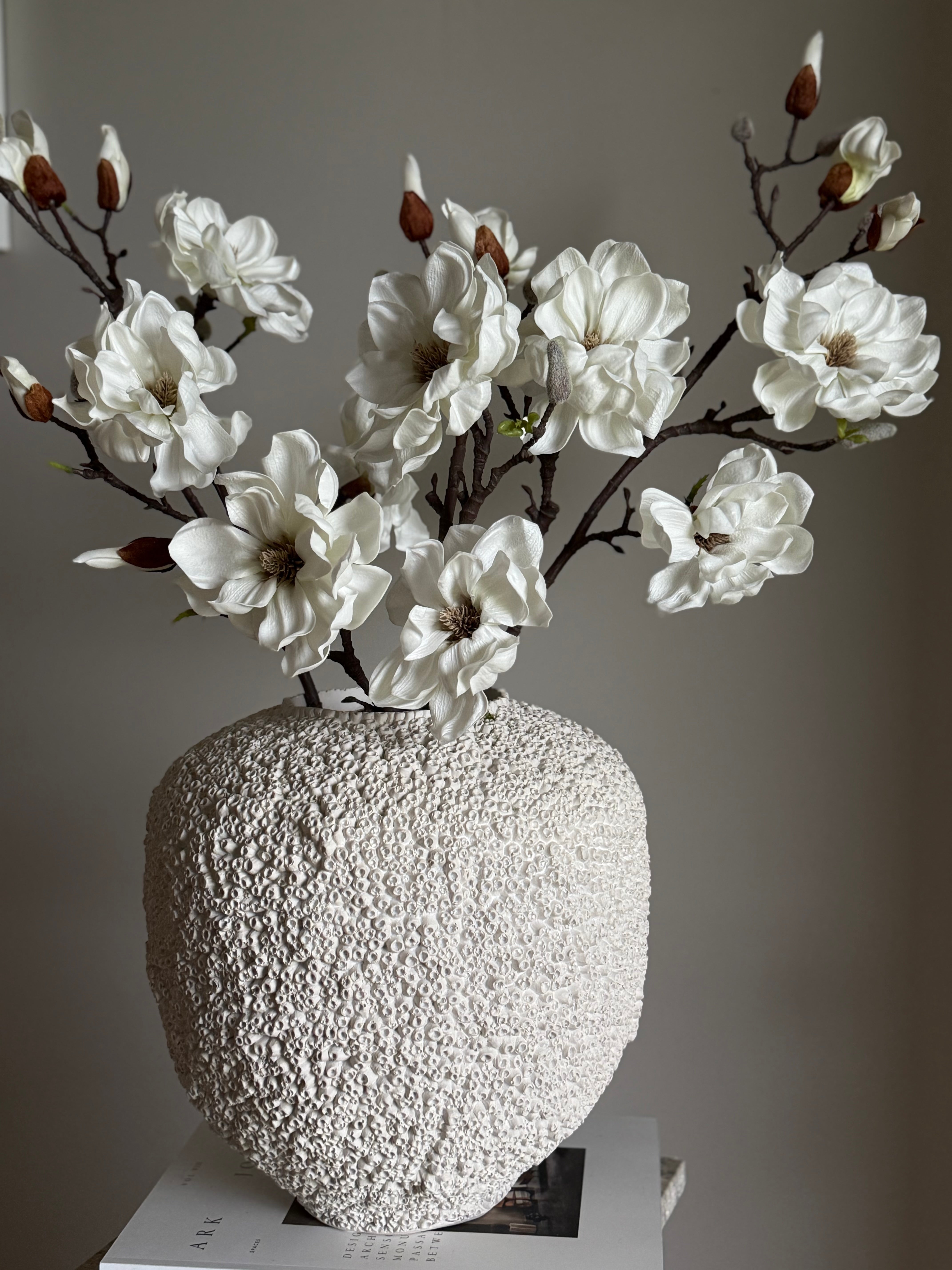 Magnolia stor