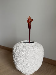 Kala brun/orange