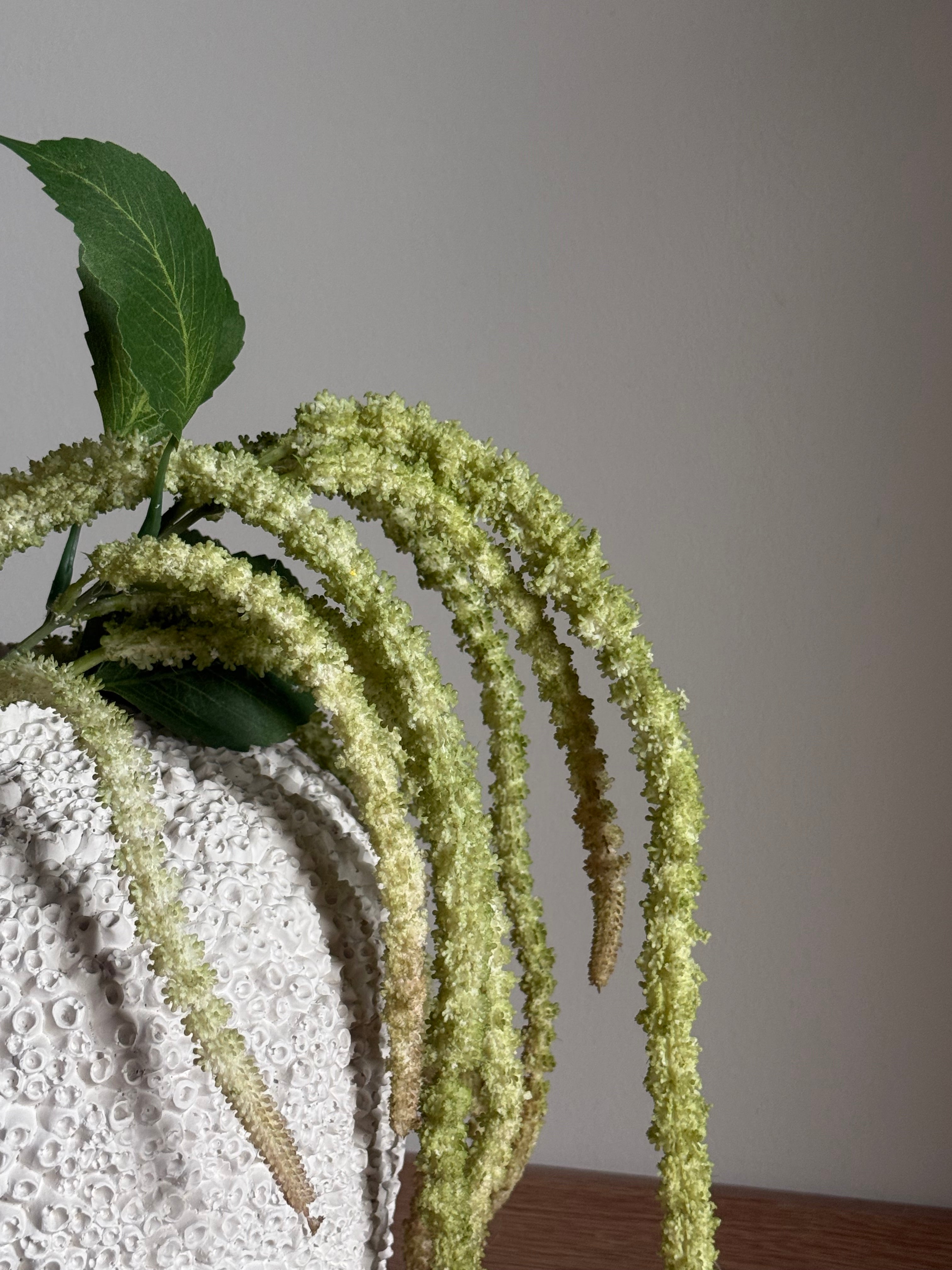 Amaranthus grønn/rød gren med varme burgunder- og kjøliggrønne overflatenyanser i naturlig tekstur