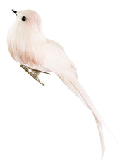 Fugl rosa