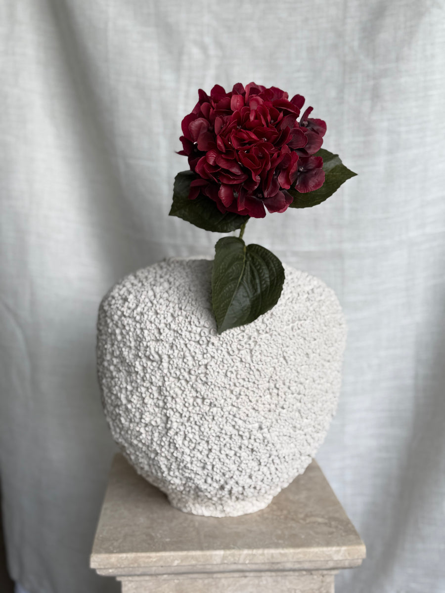 Hortensia rød