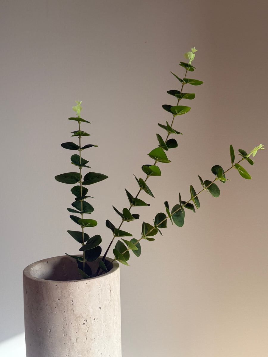 Eucalyptus grønn