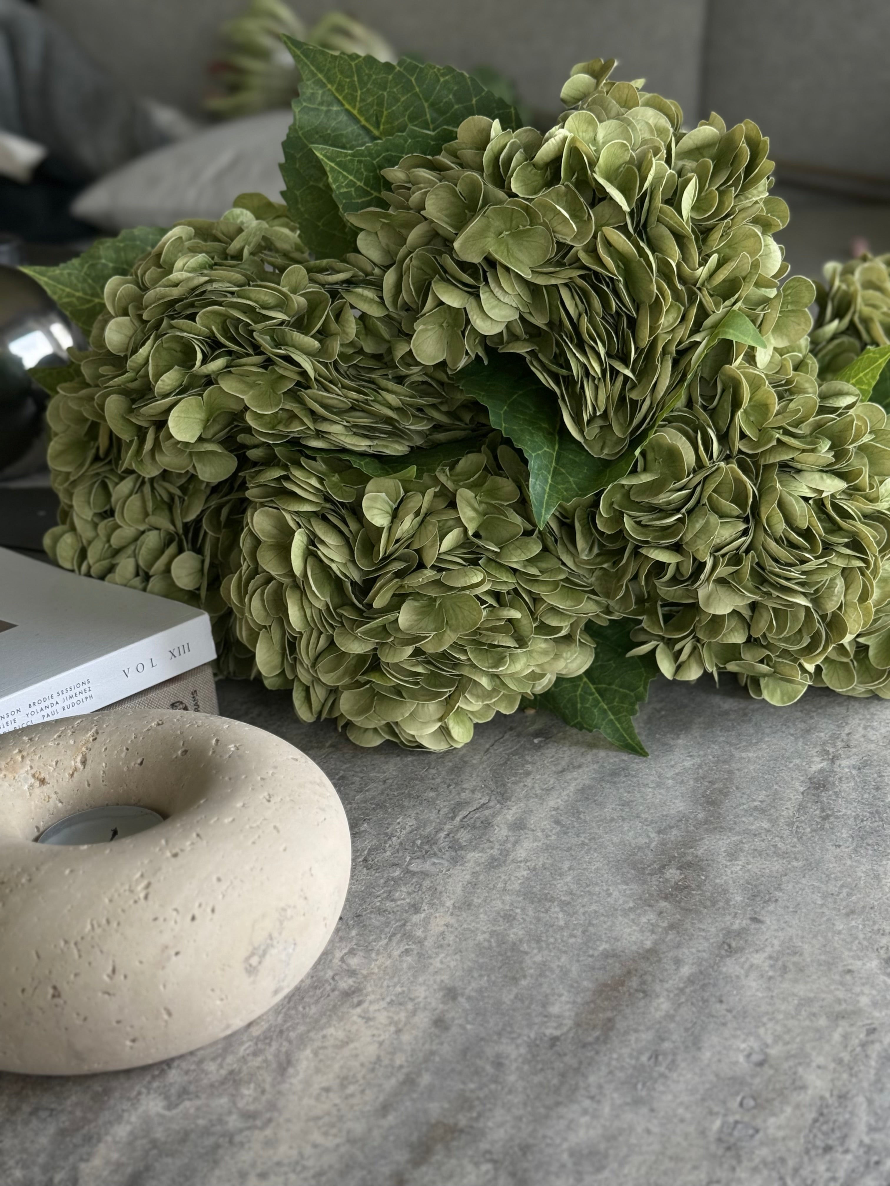 Hortensia dus grønn