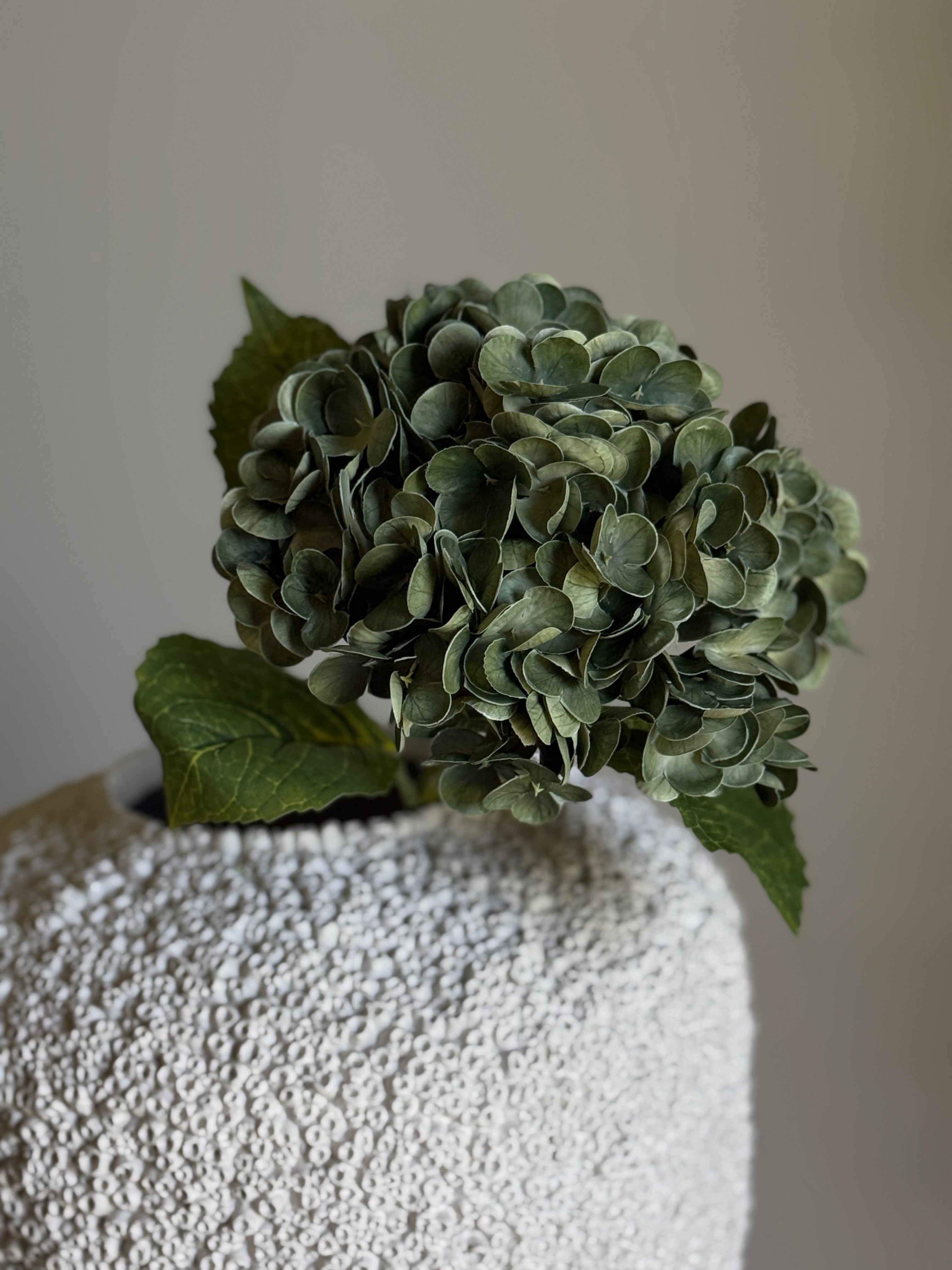 Hortensia mørk dus grønn