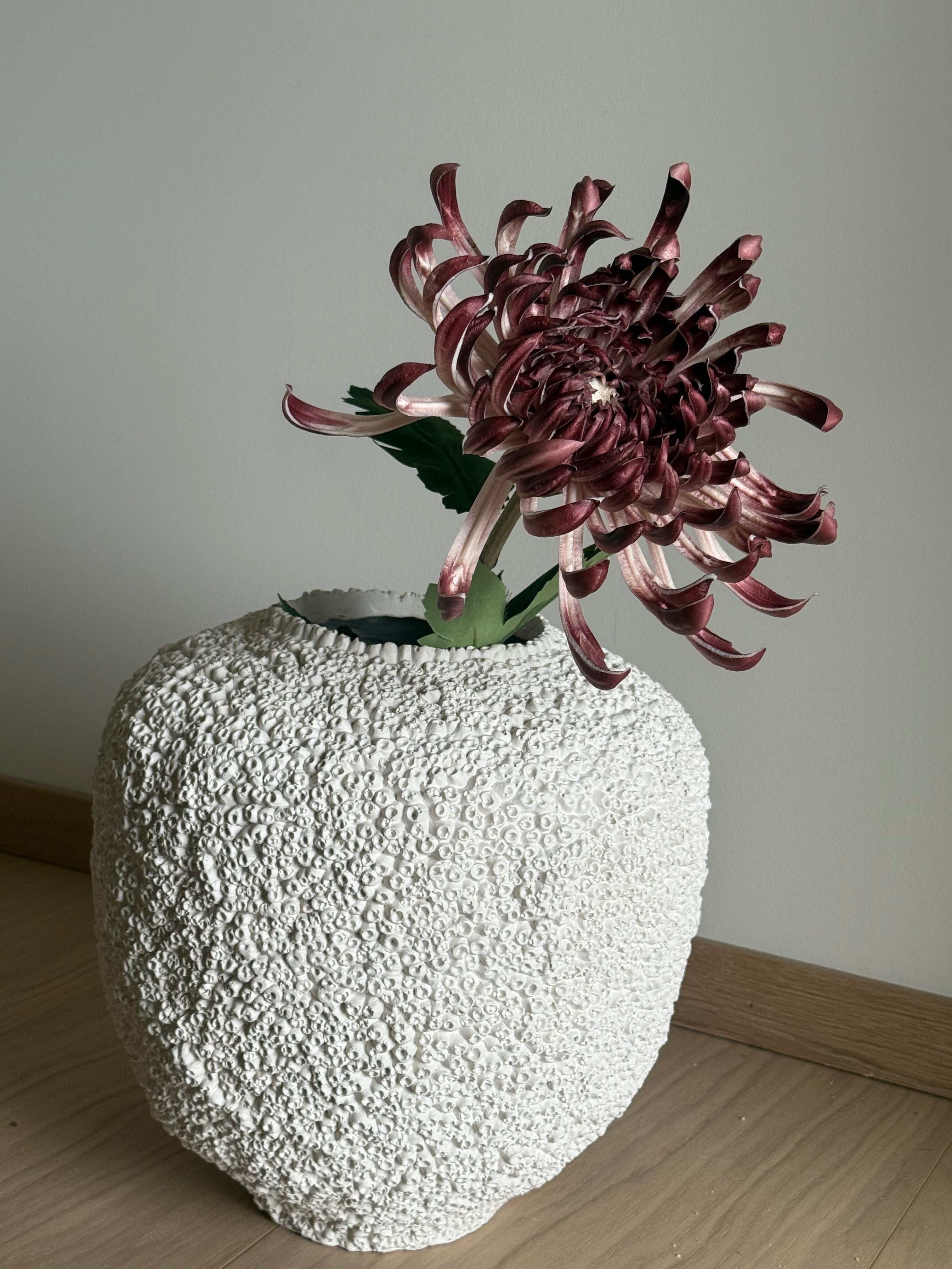 Krysantemum stor purple