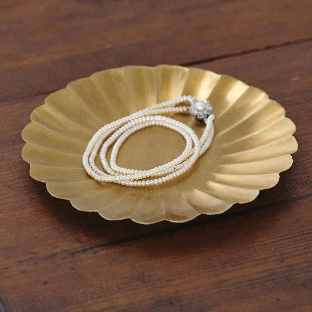 Scallop fat messing stor