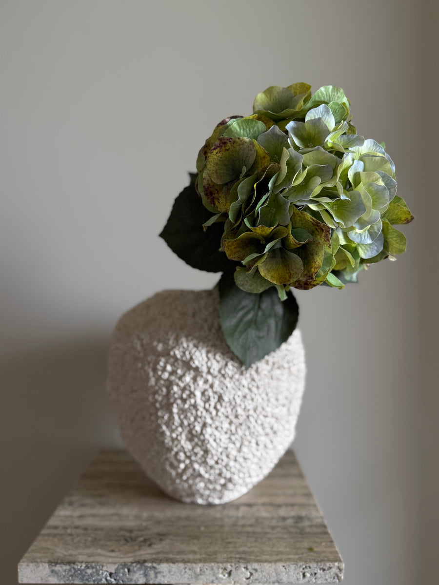 Hortensia rustikk