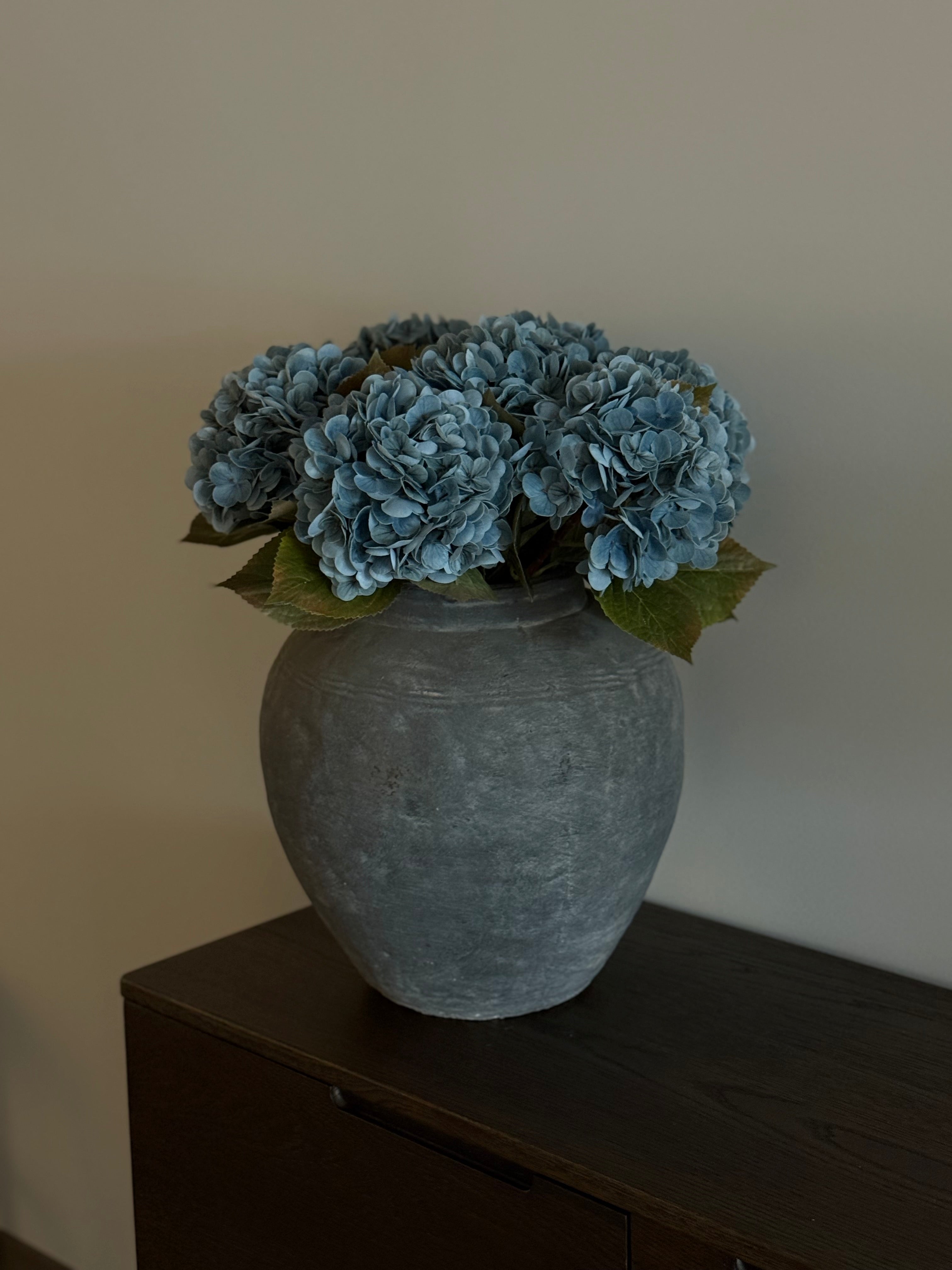 Hortensia dus blå