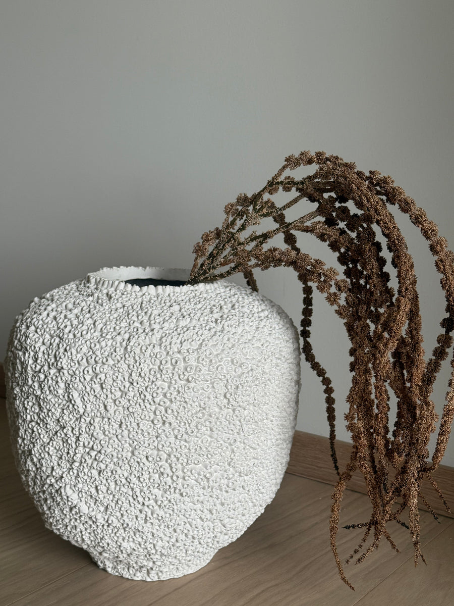 Amaranthus beige