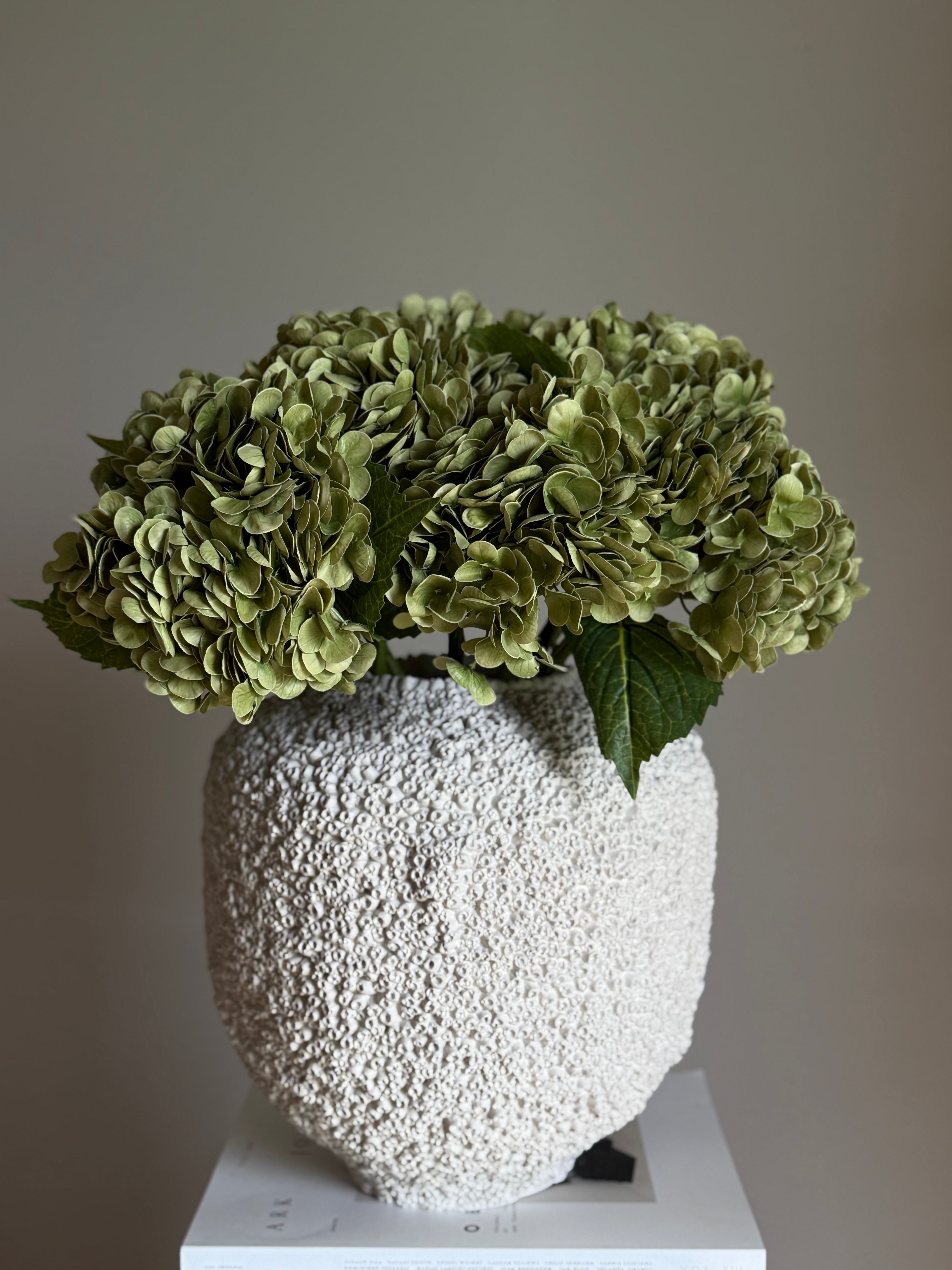 Hortensia dus grønn