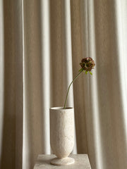 Scabiosa grønn/burgunder