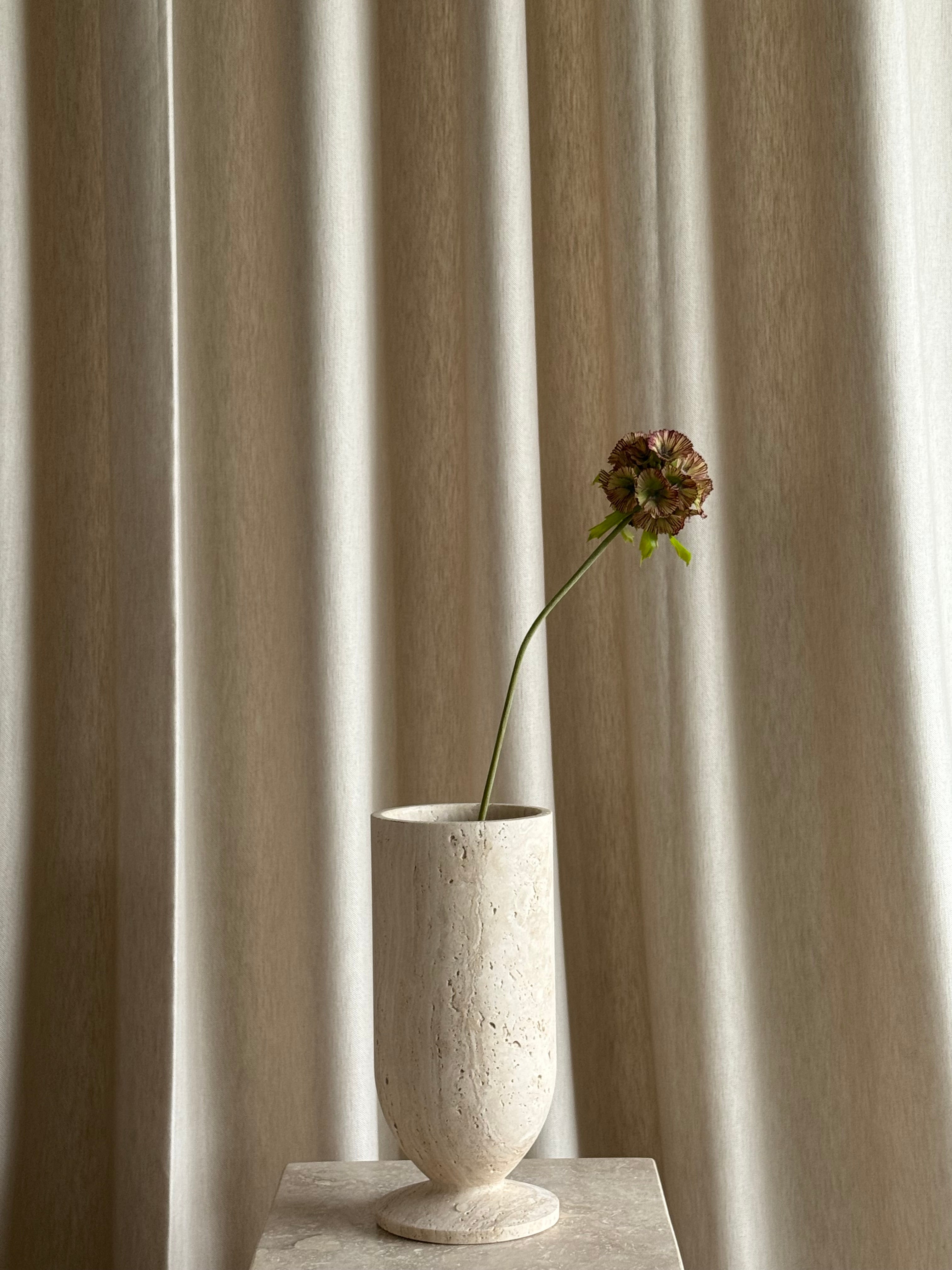 Scabiosa grønn/burgunder