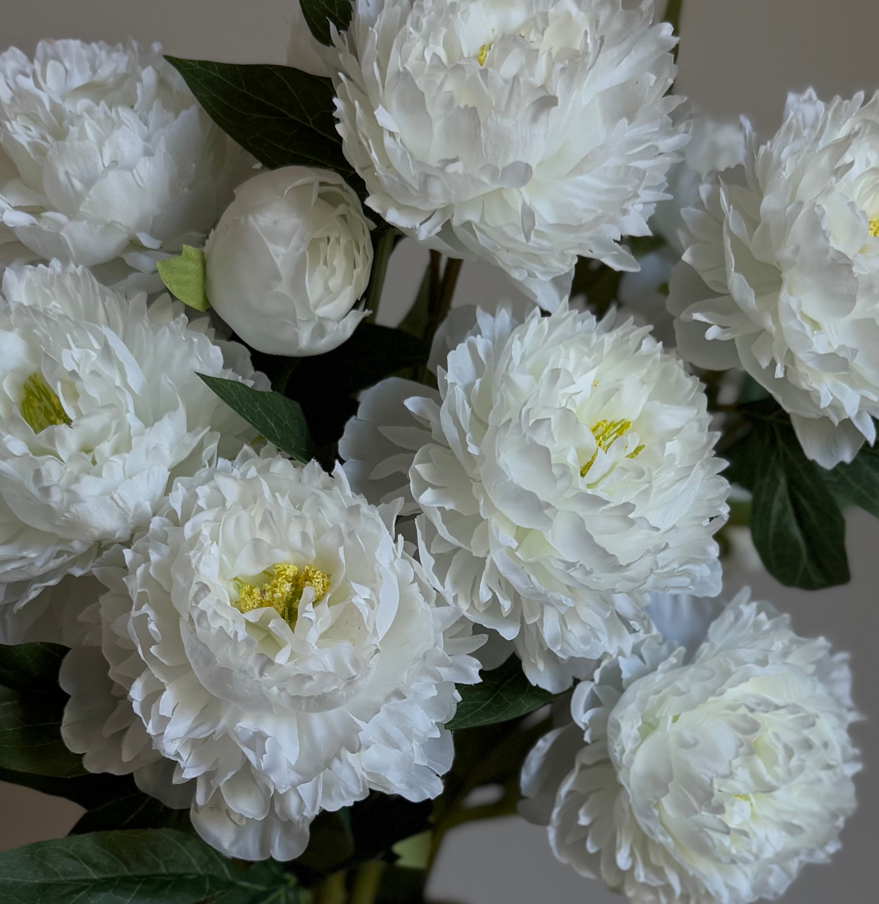 Peonbukett hvit