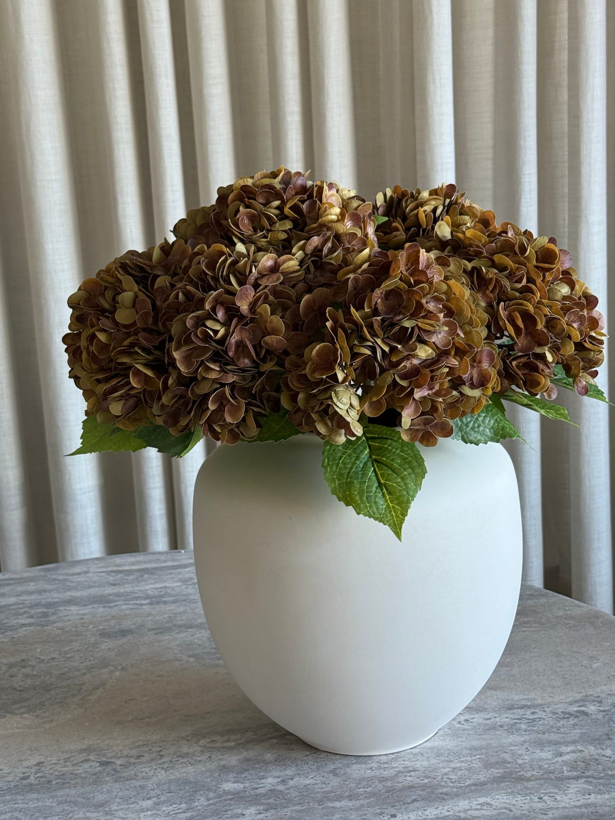 Hortensia orange/brun