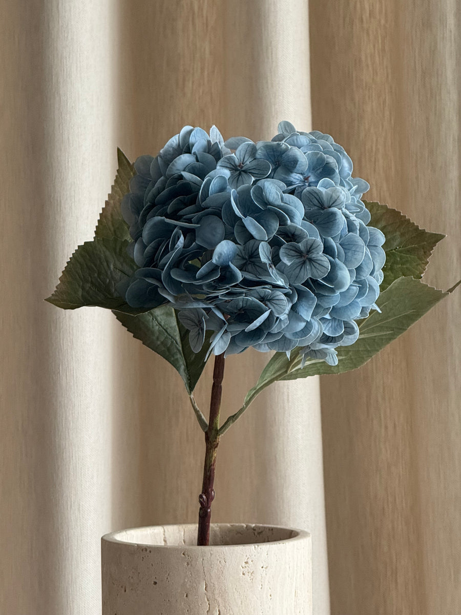 Hortensia dus blå