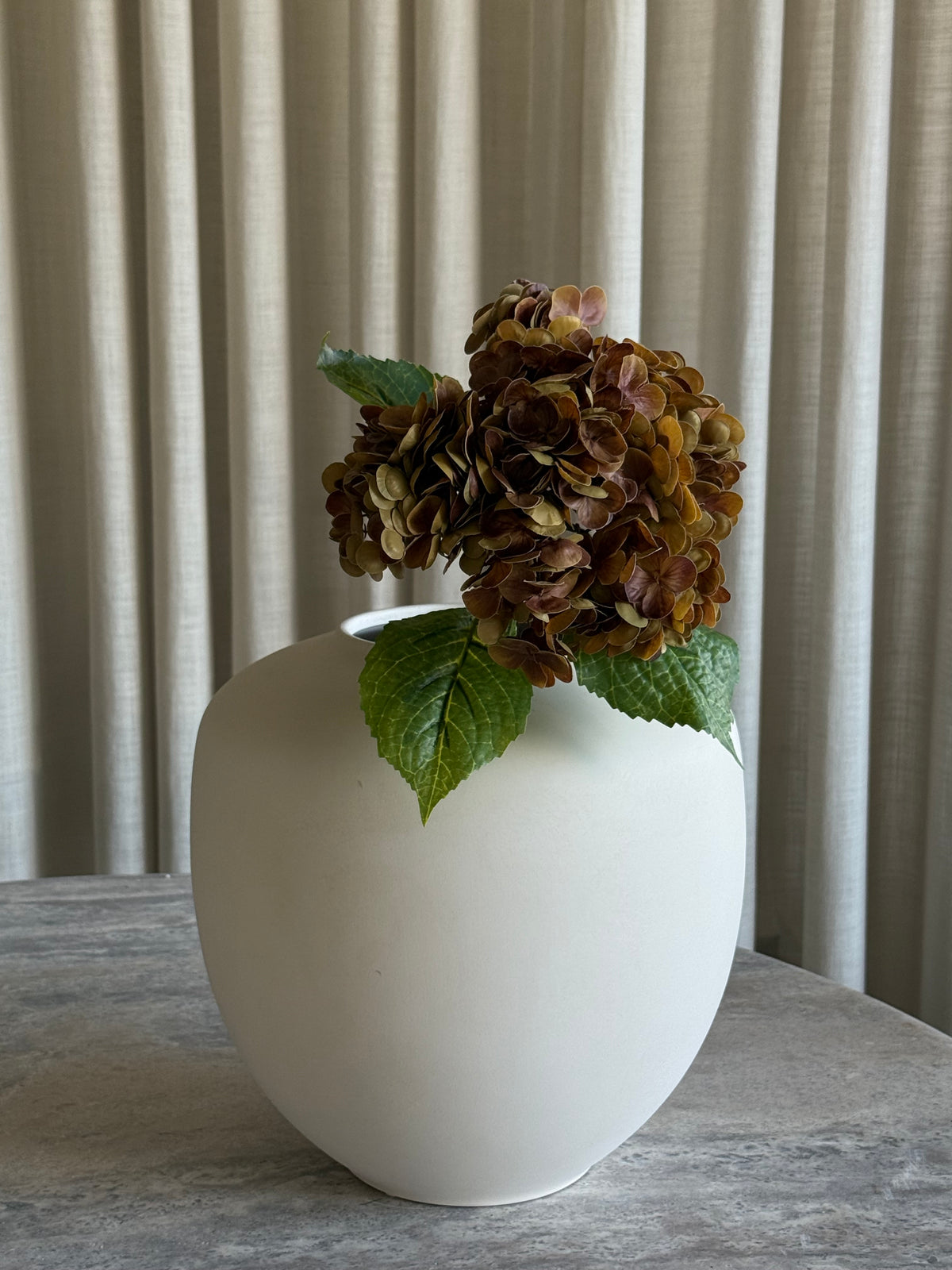 Hortensia orange/brun