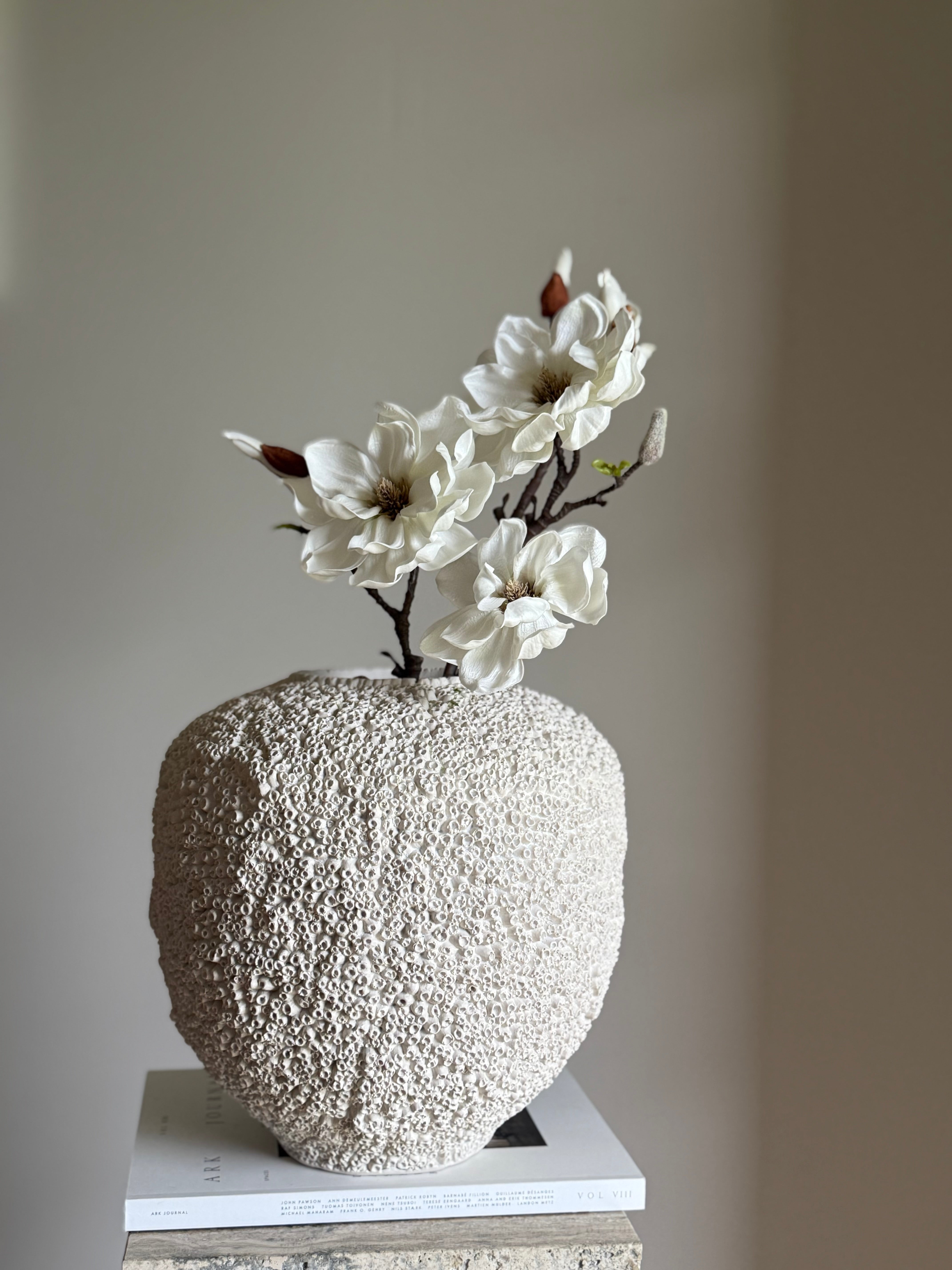 Magnolia stor