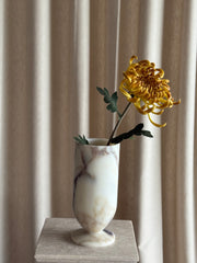 Krysantemum stor gul