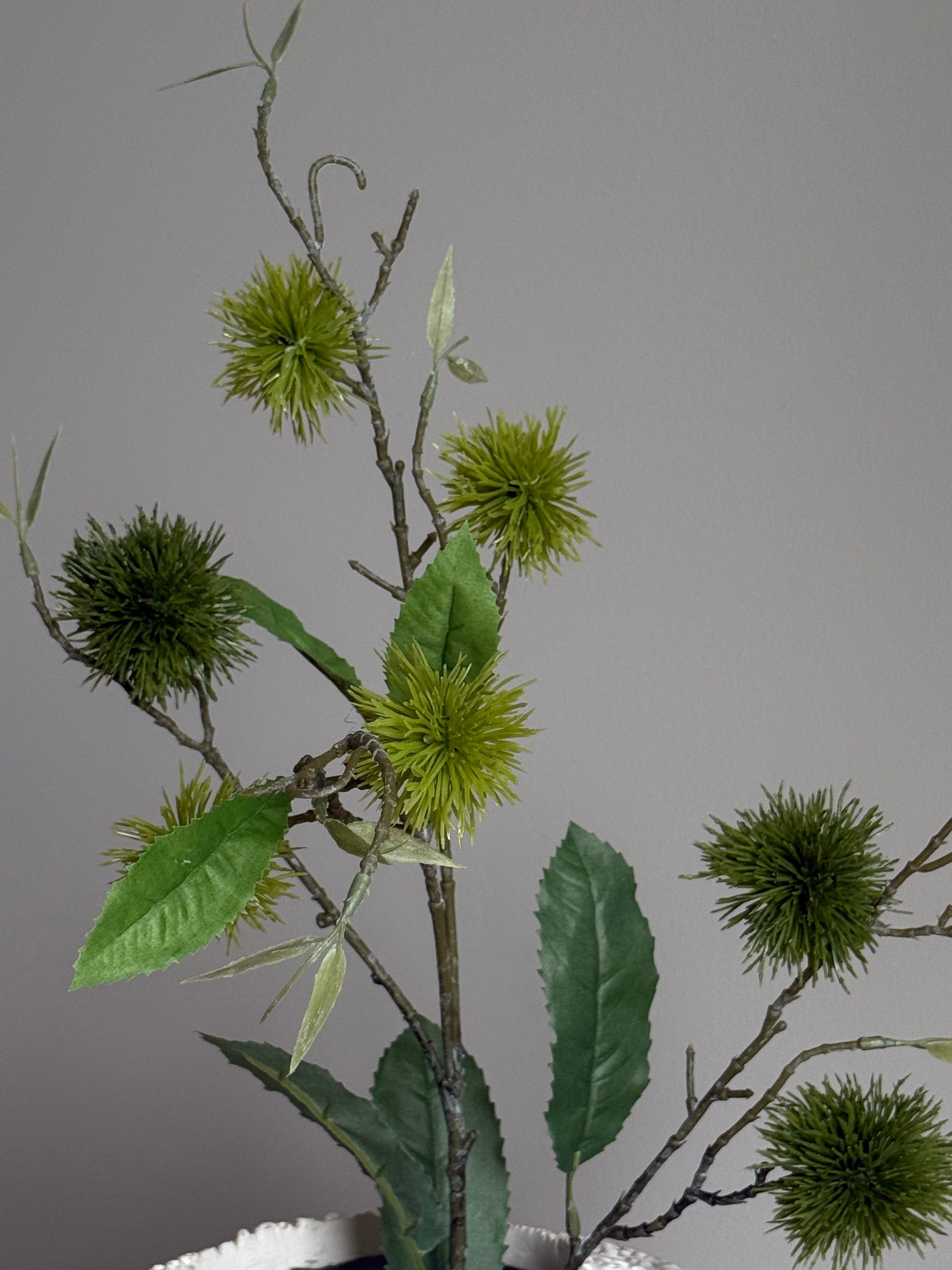Thistle stor