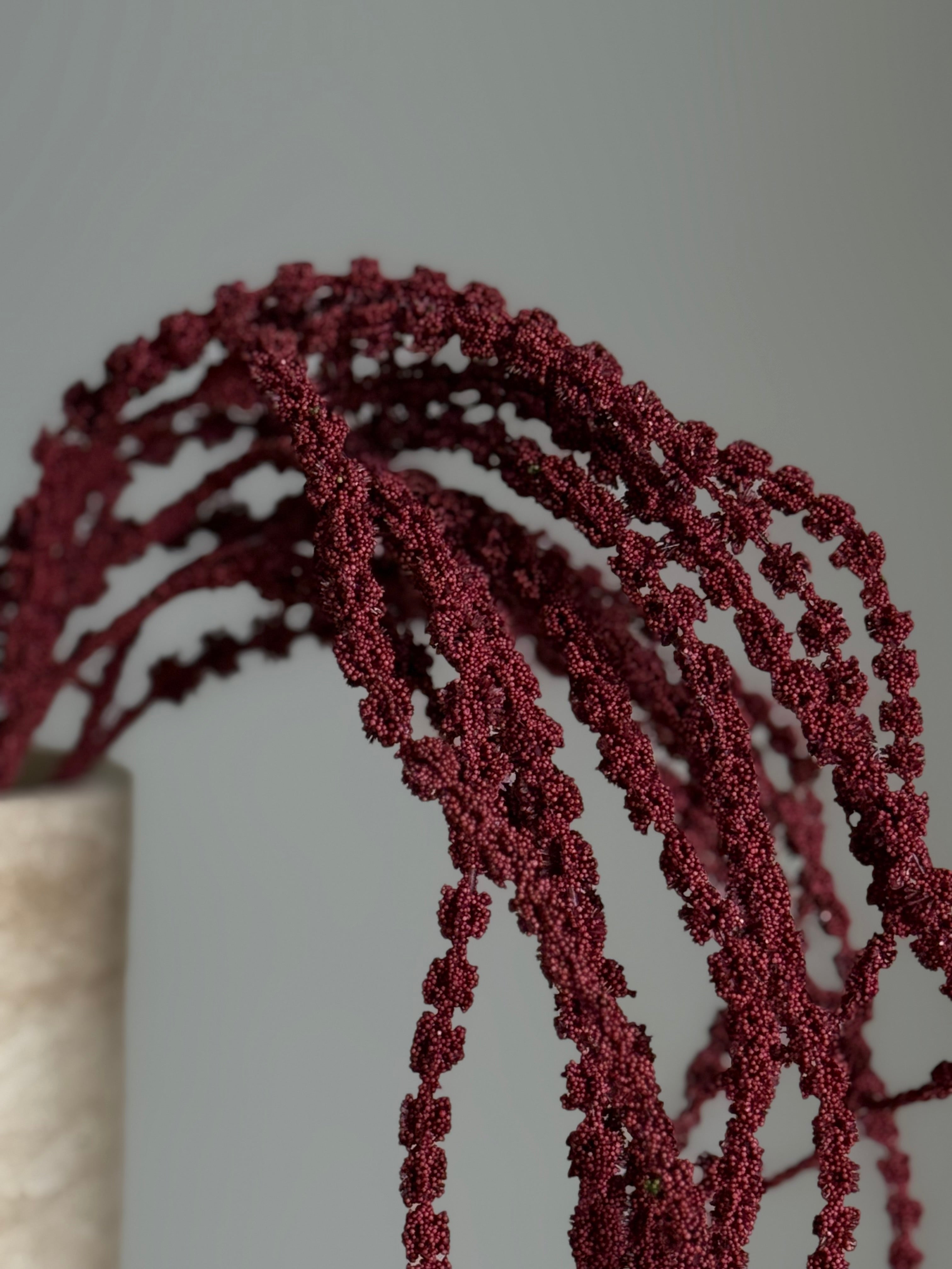 Amaranthus fyldig rød