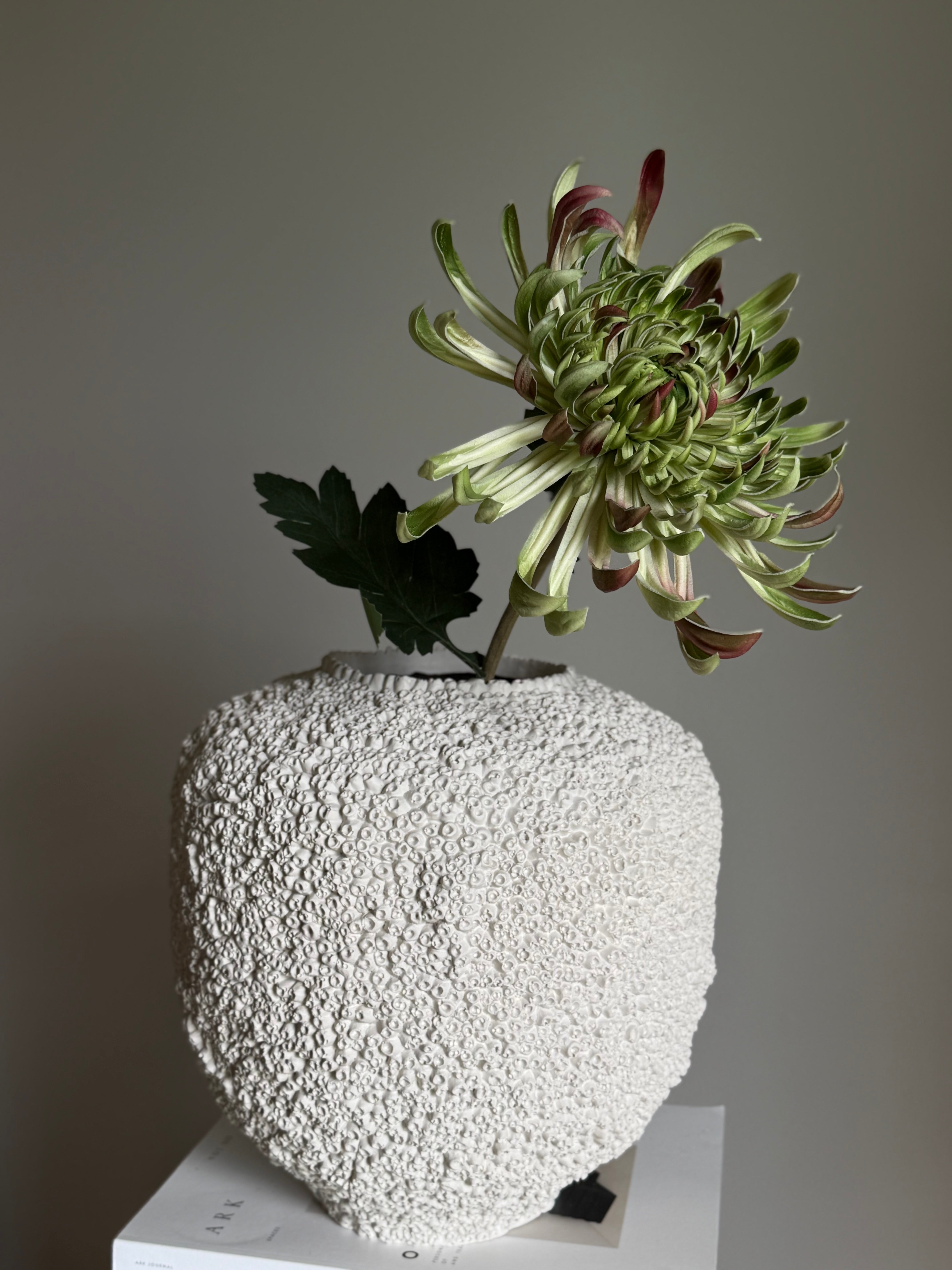 Krysantemum stor lys