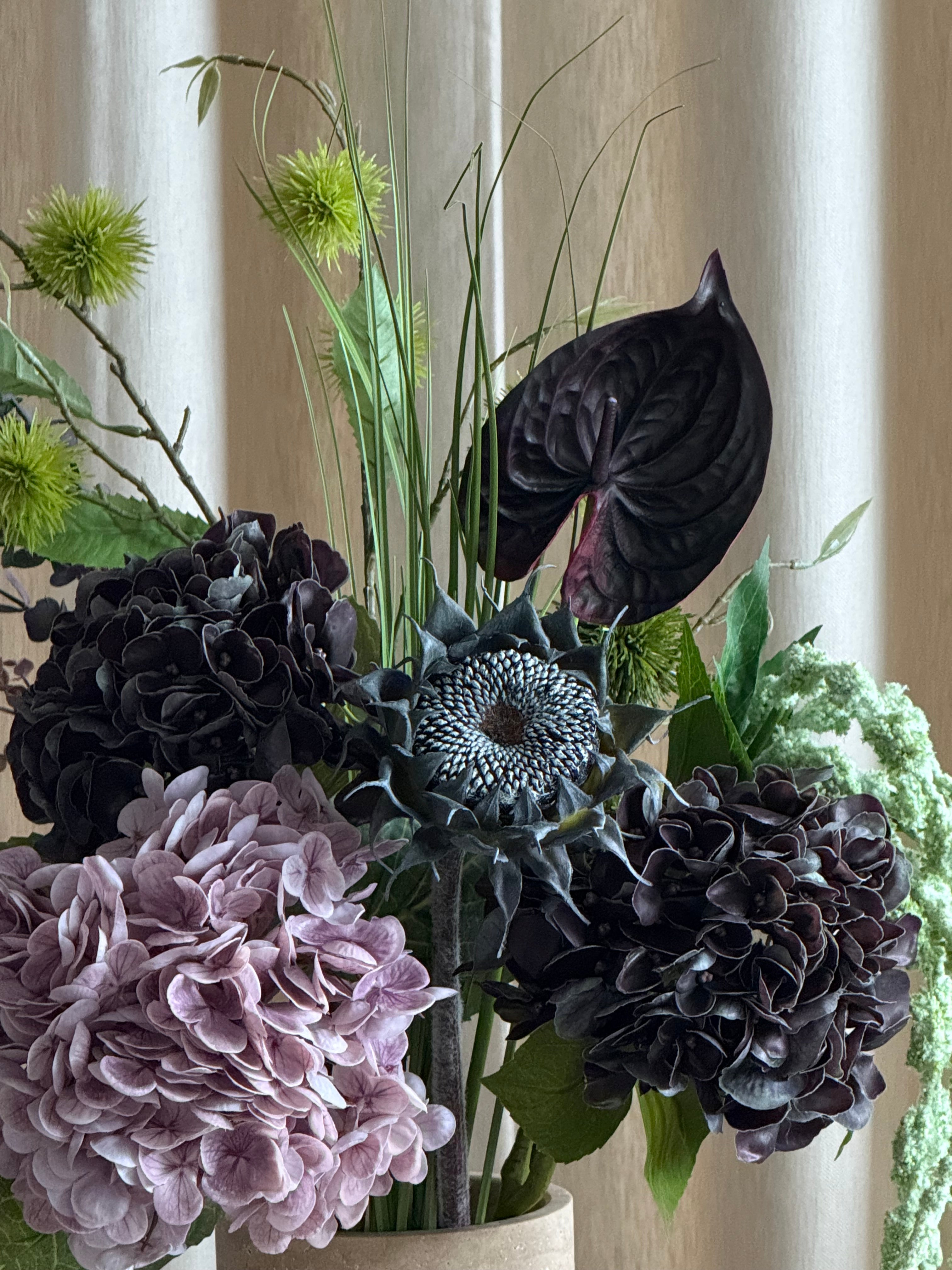 Hortensia dark purple