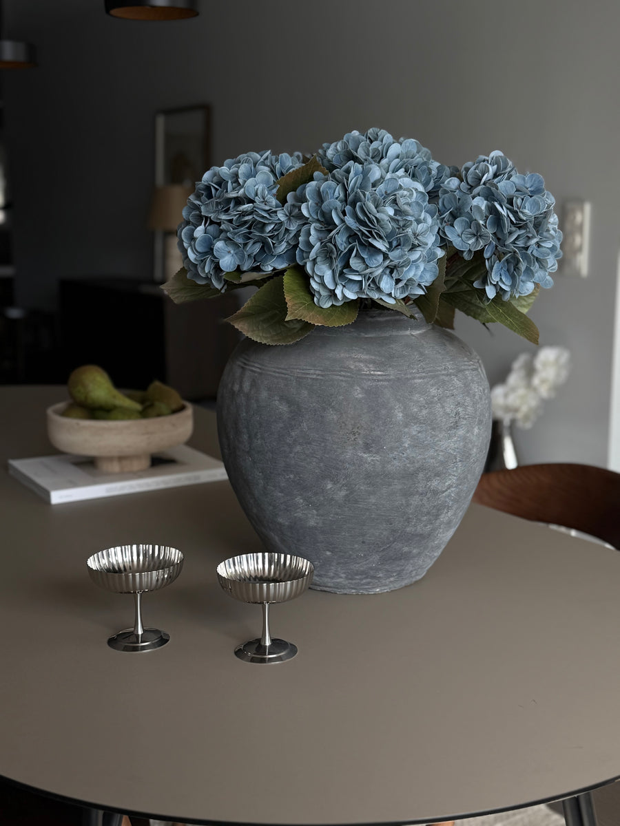 Hortensia dus blå