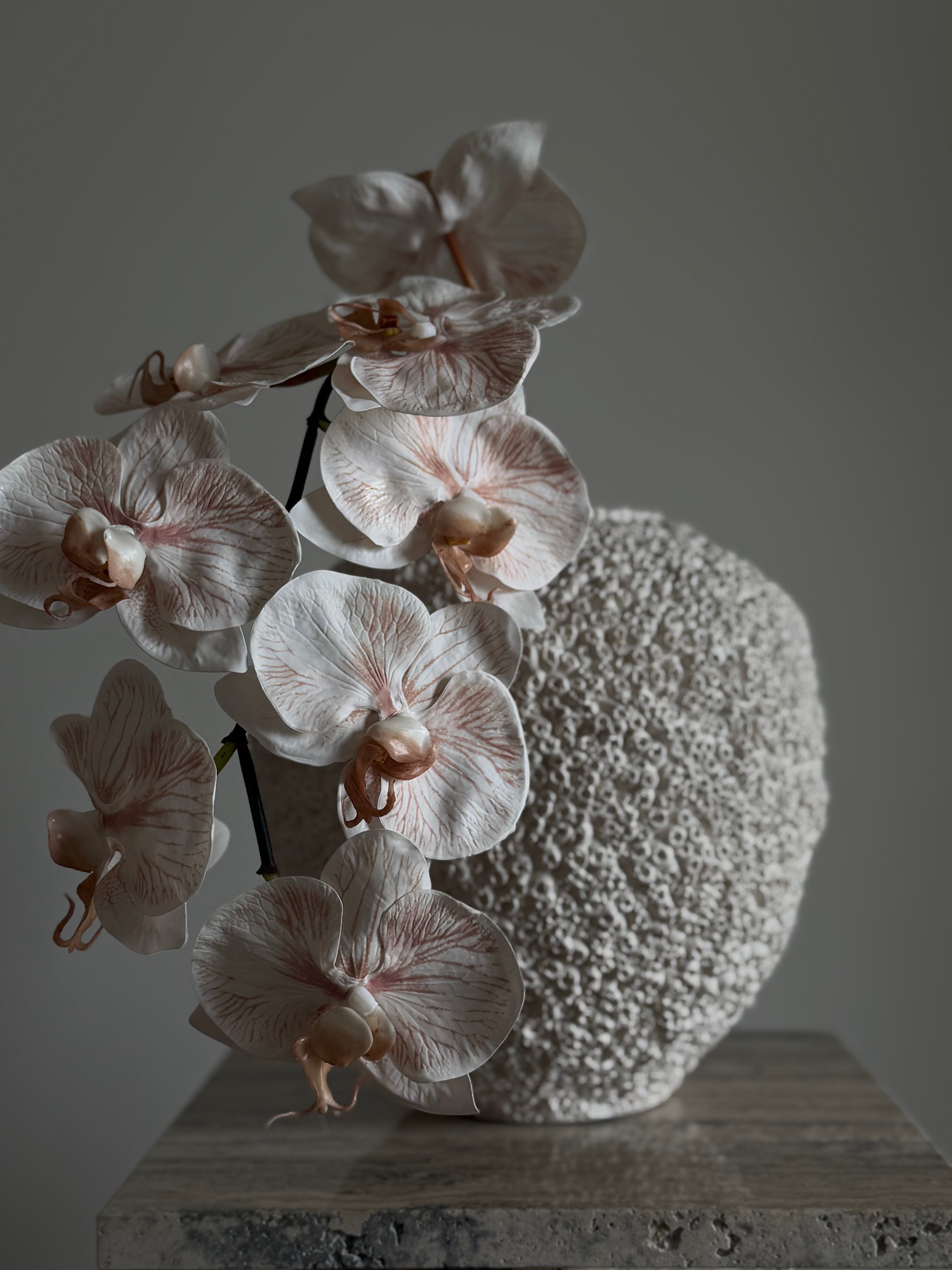 Orkidé beige/rosa stor