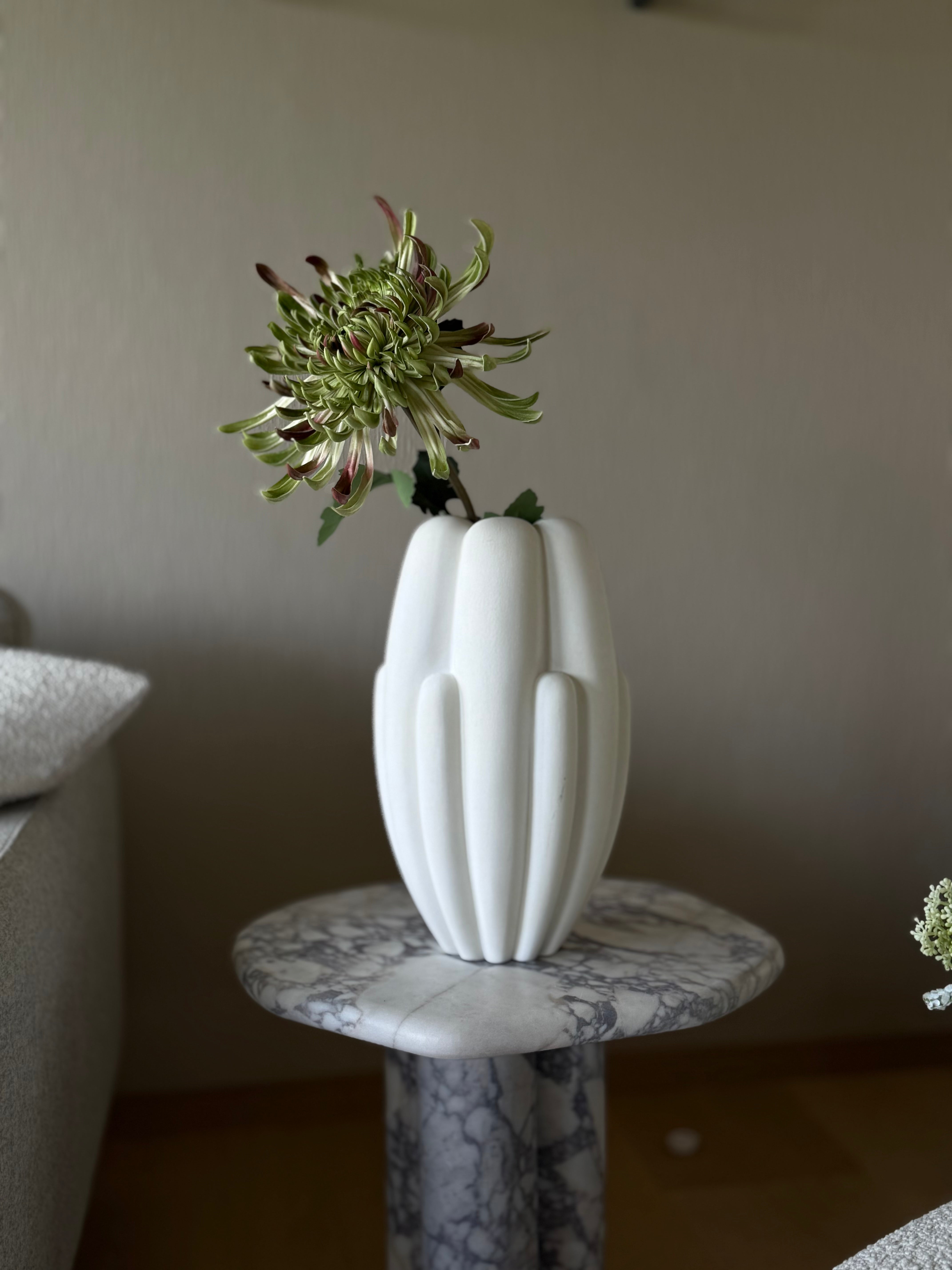 Krysantemum stor lys