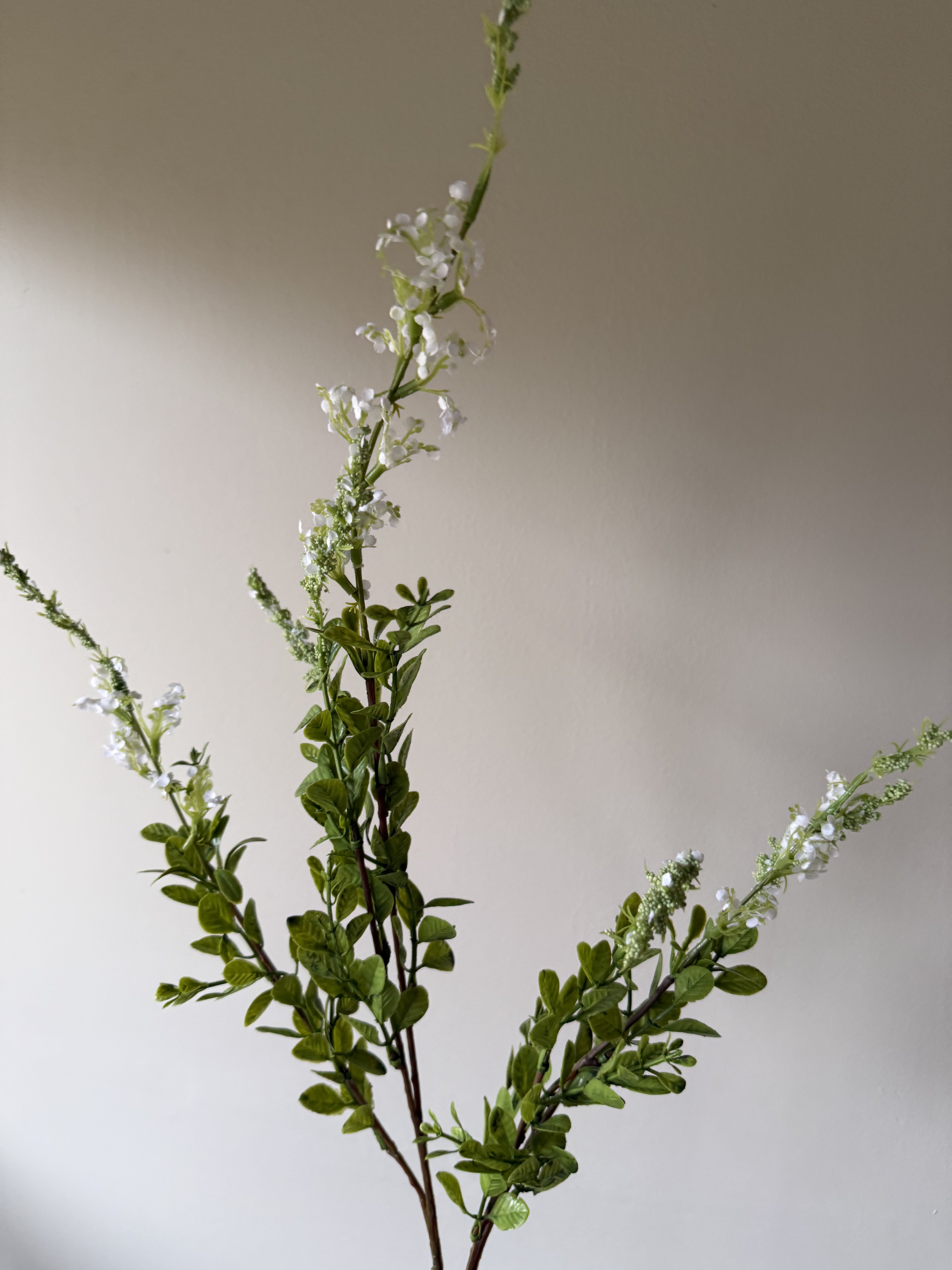 Gren med hvite blomster