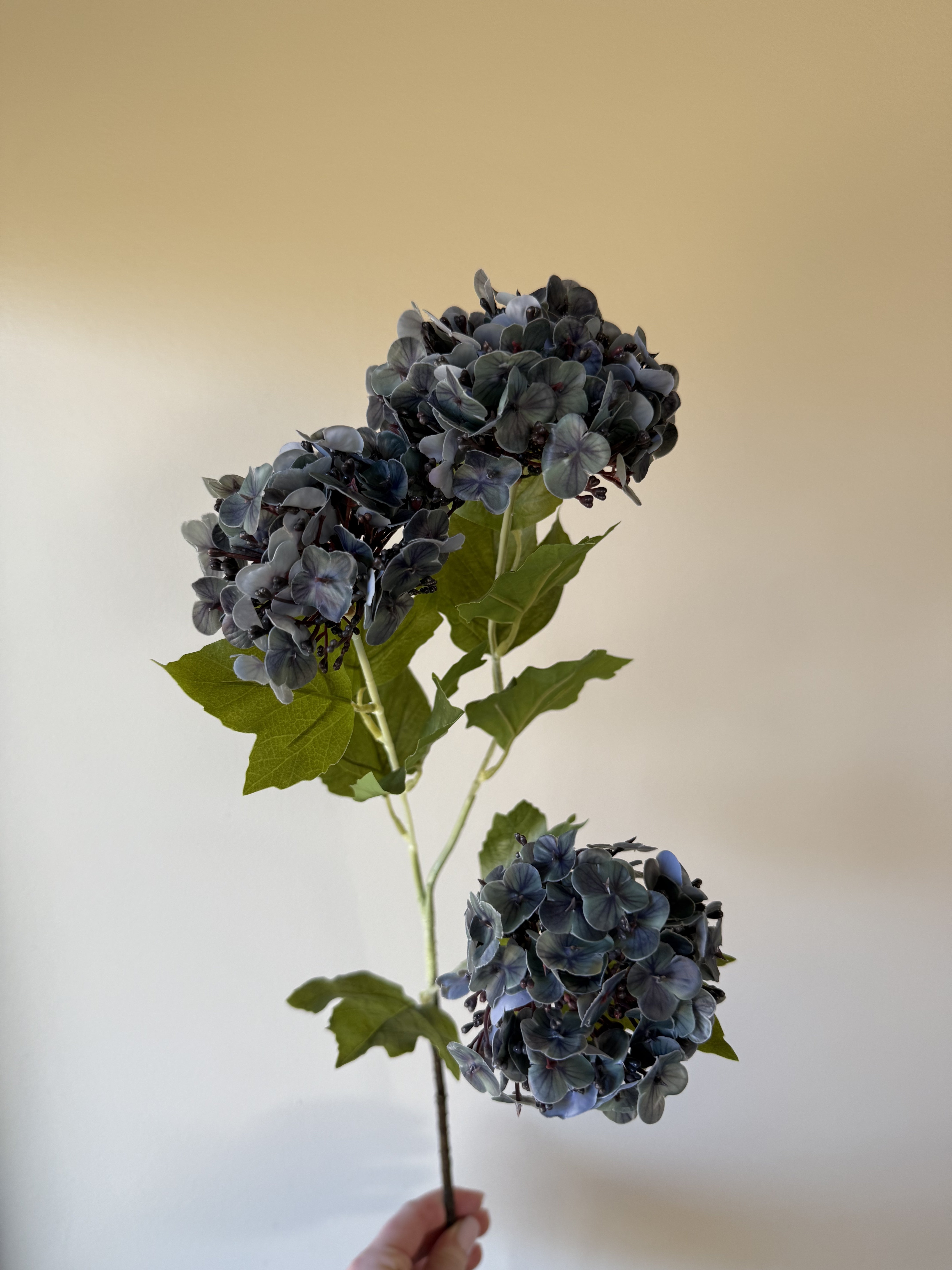 Hortensia mørk blå 3