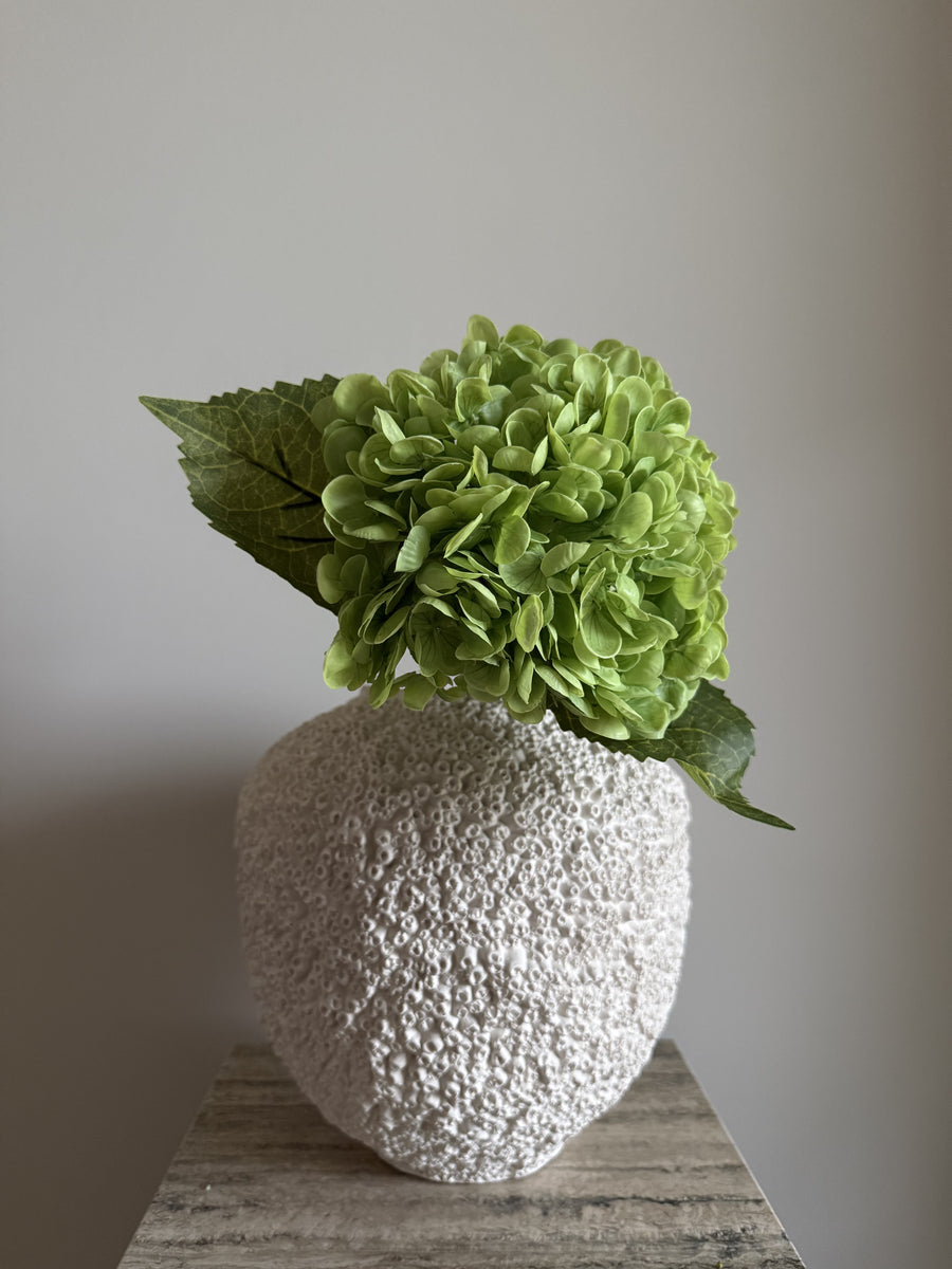 Hortensia grønn