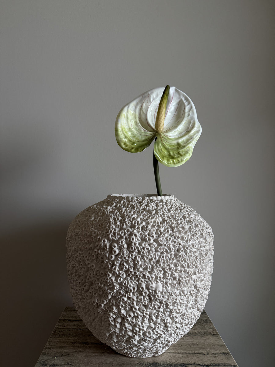 Anthurium
