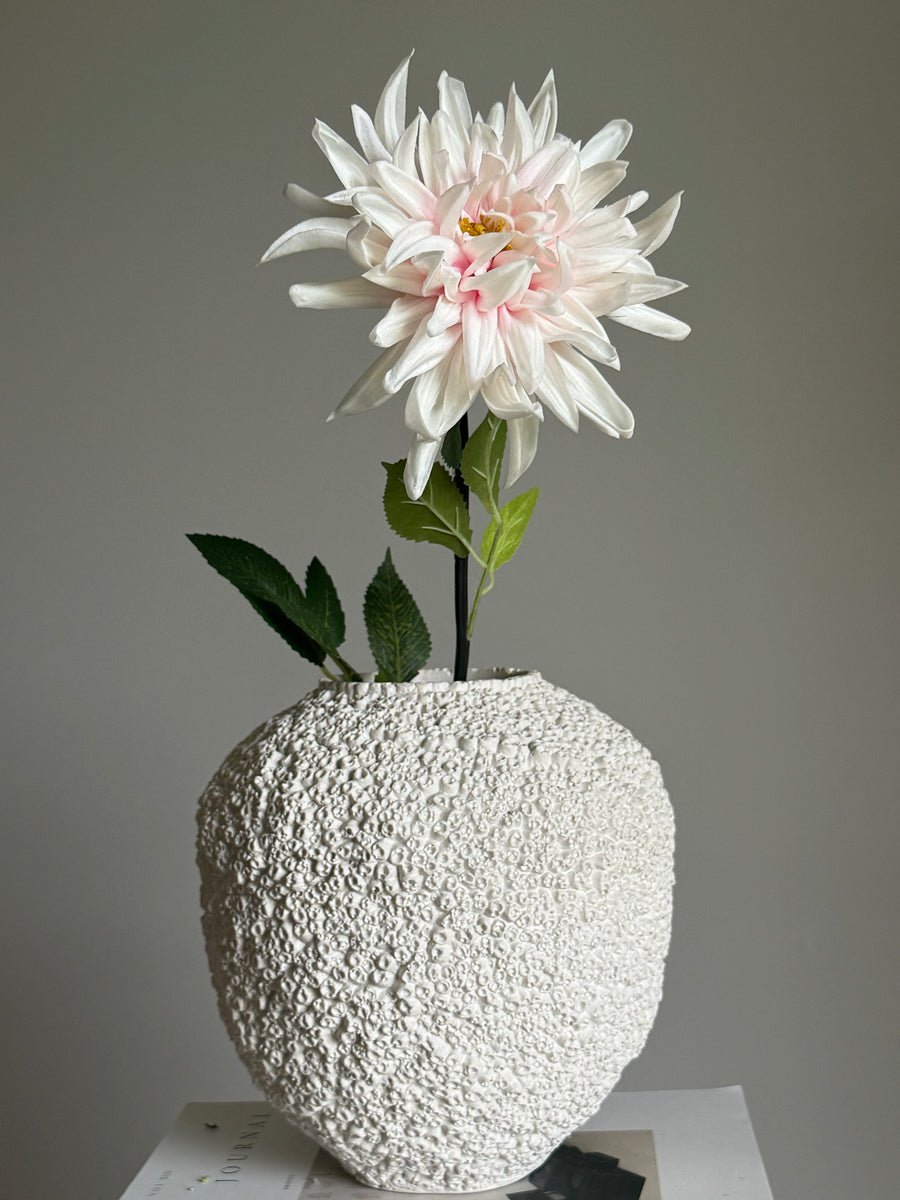 Dahlia rosa