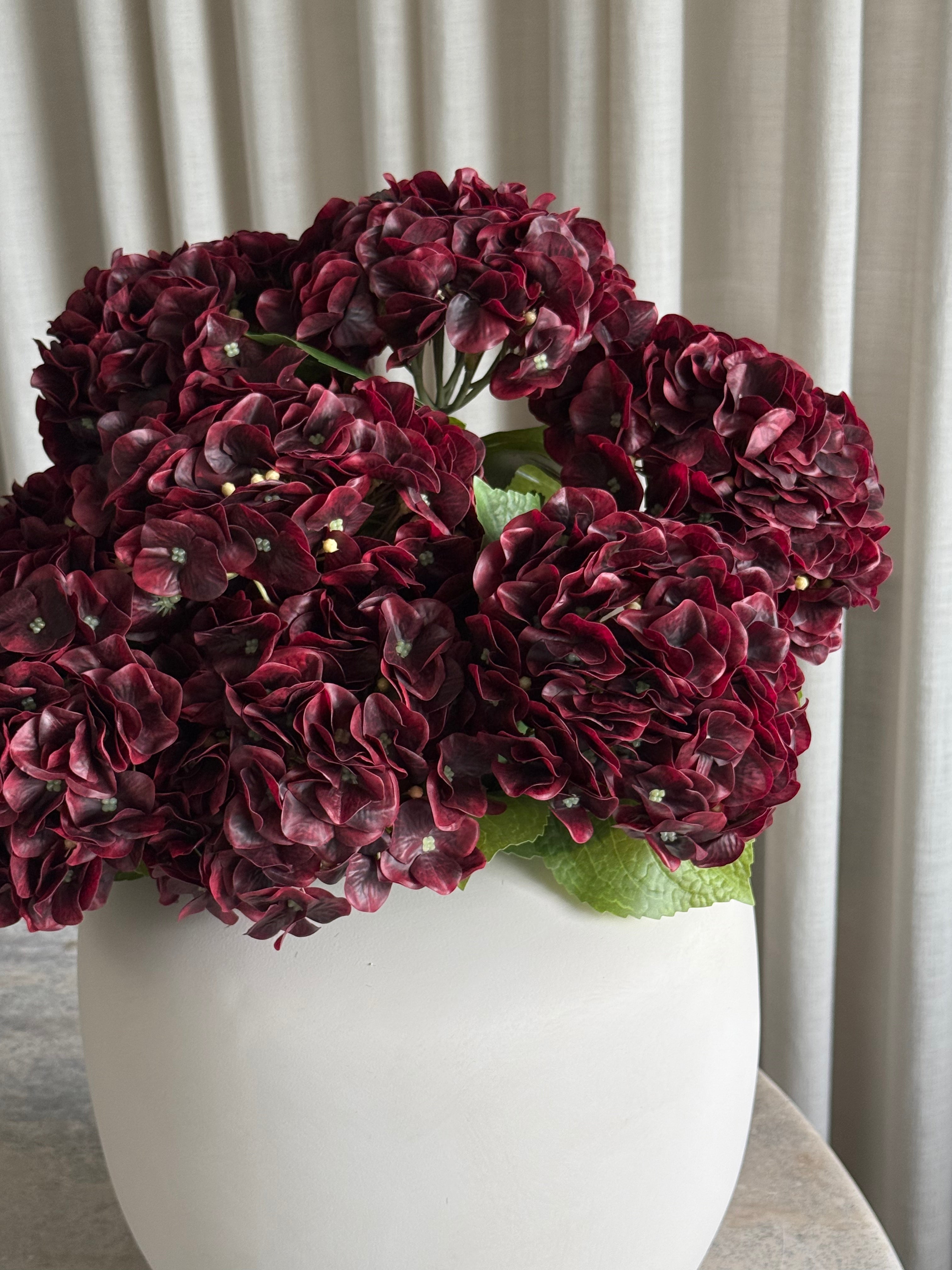Hortensia premium dyp rød