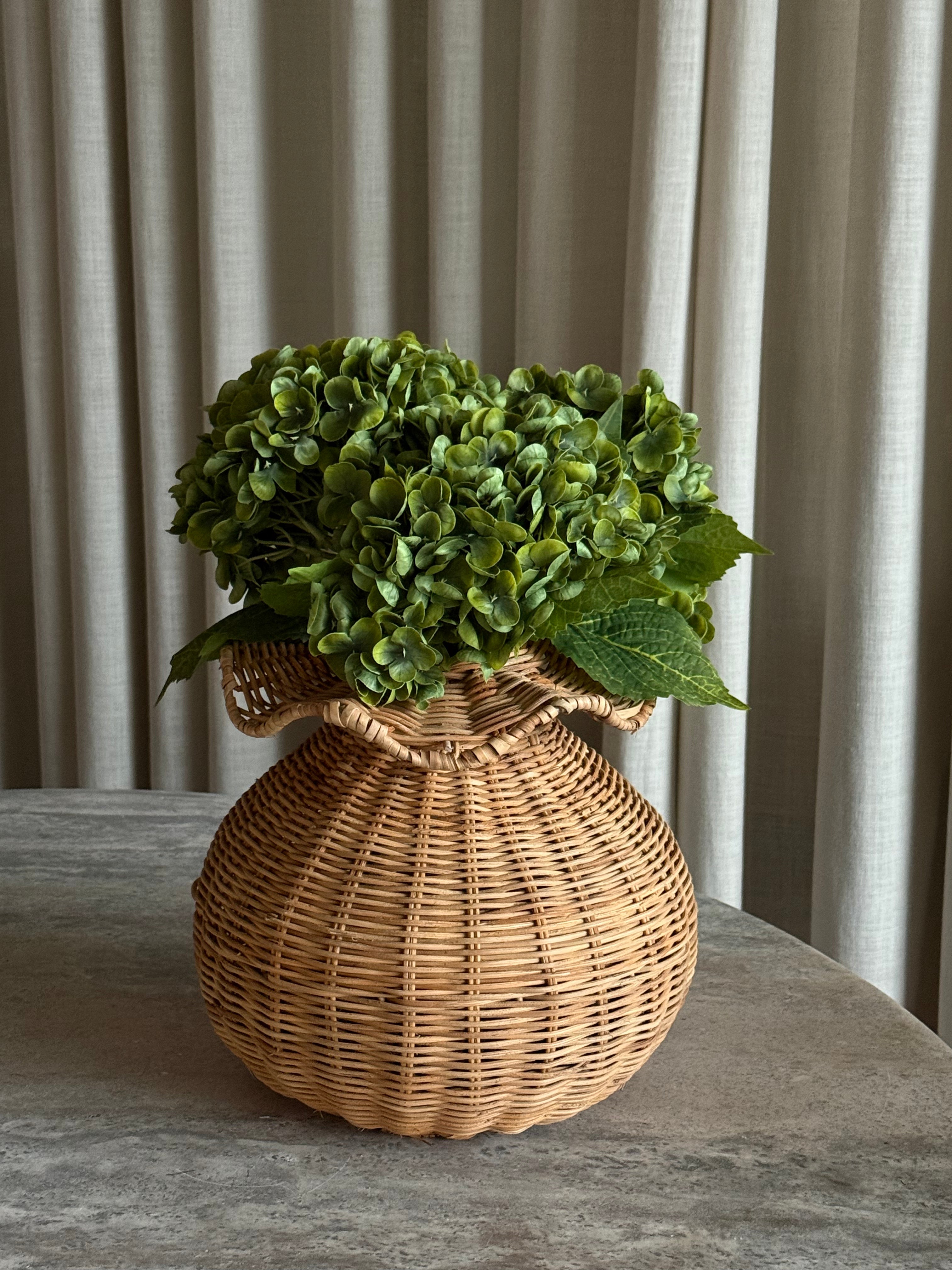 Molly vase  rotting natur