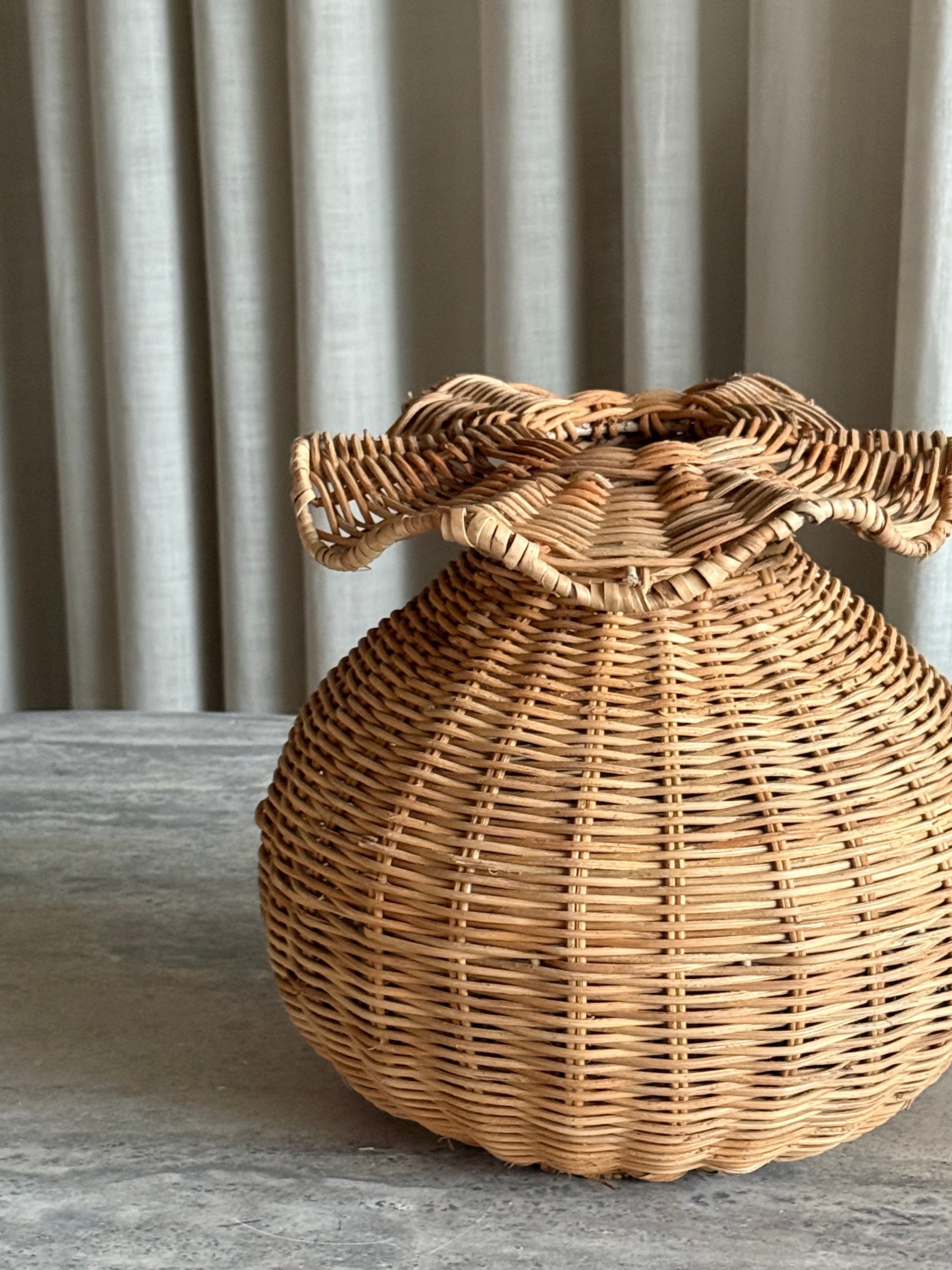 Molly vase  rotting natur
