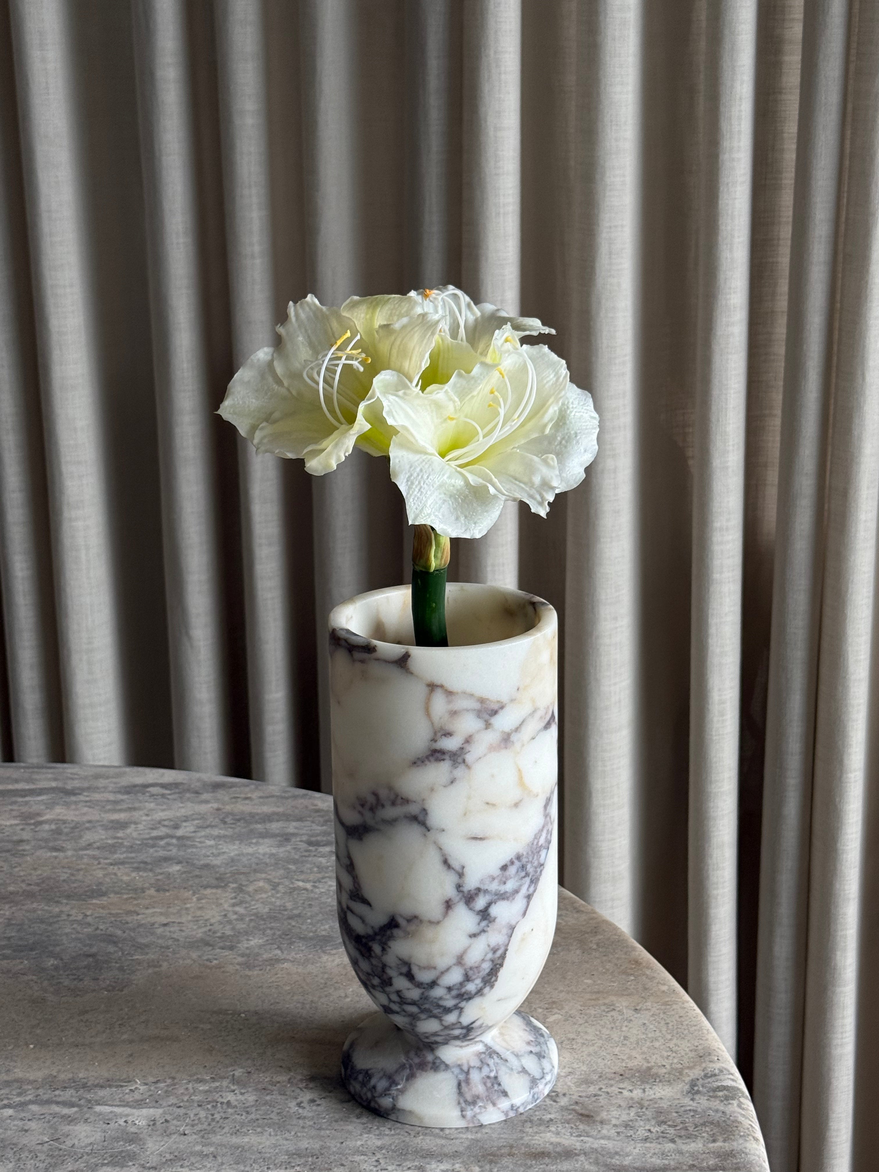 Amaryllis hvit