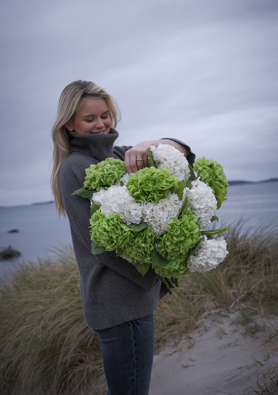 Hortensia grønn
