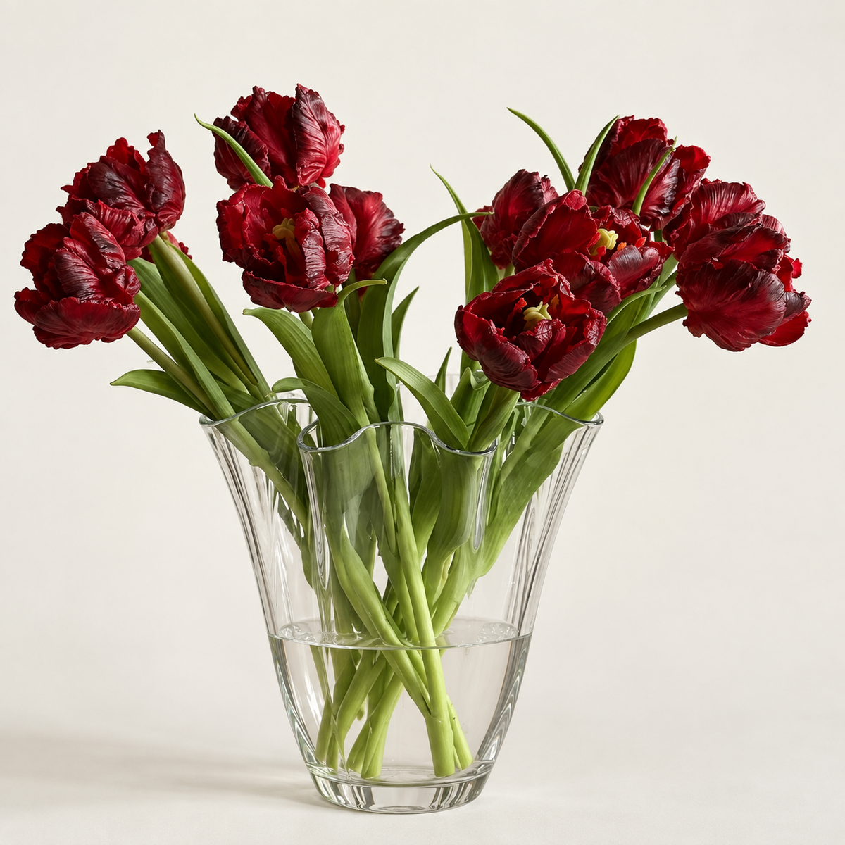 Tulipan premiumbukett mørk rød