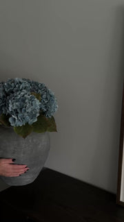 Hortensia dus blå
